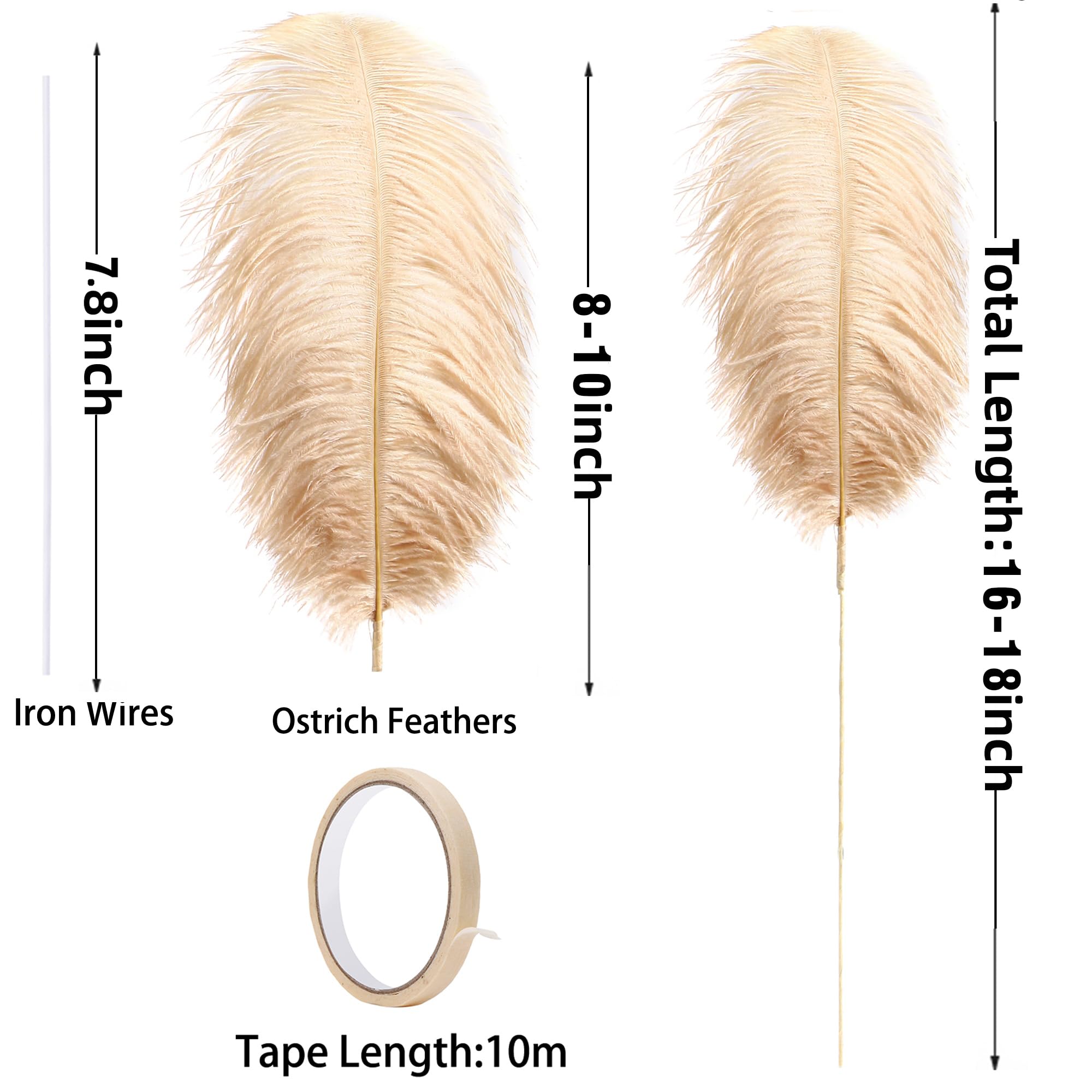 Ballinger Black Ostrich Feathers Bulk - Making Kit 12Pcs 16-18inch Large Ostrich Feathers for Floral Arrangement, Vase, Wedding Party Centerpieces and Halloween Home Decor