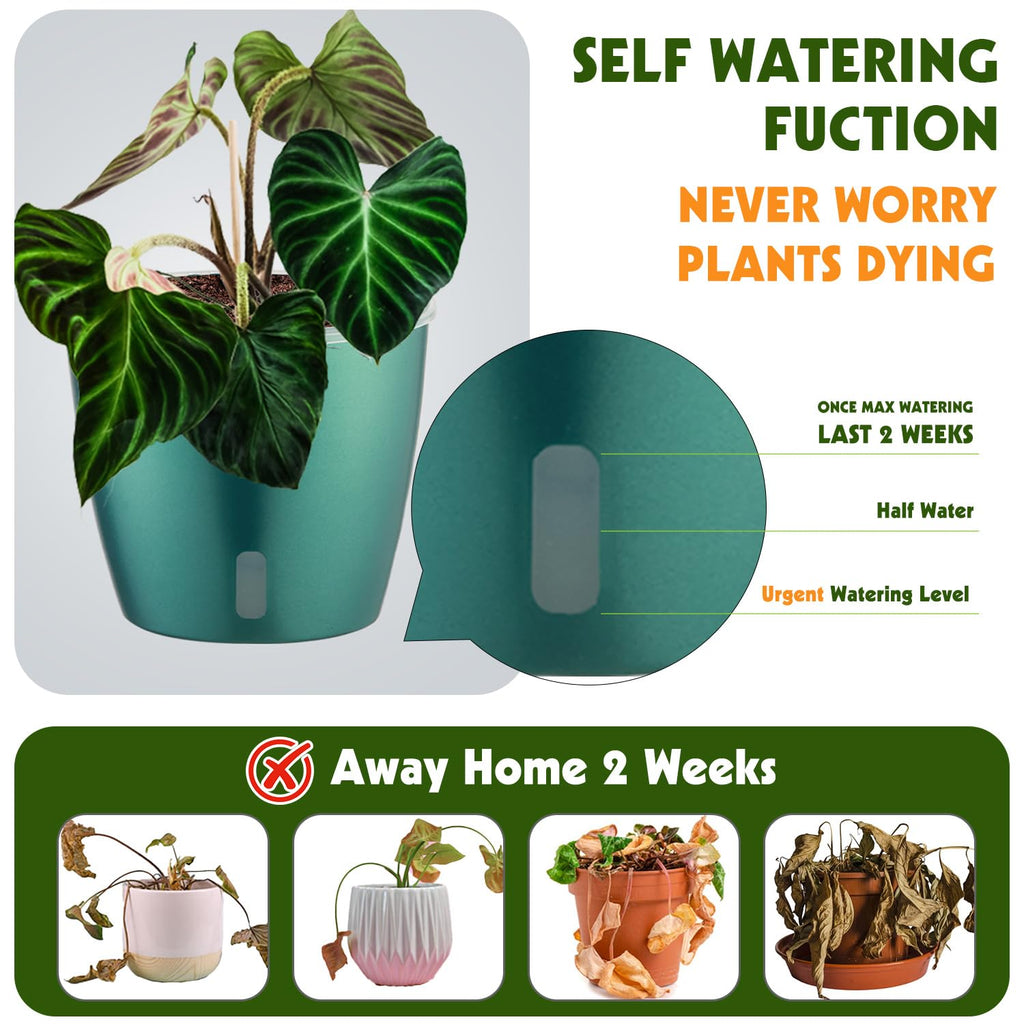 Self-Watering Pots for Indoor Plants, 16-Pack Self Watering Planter with Drainage Holes, Small African Violet Pots with Water Indicator, 10-Pack 5''/6-Pack 6.7'' Orchid Pot, Black