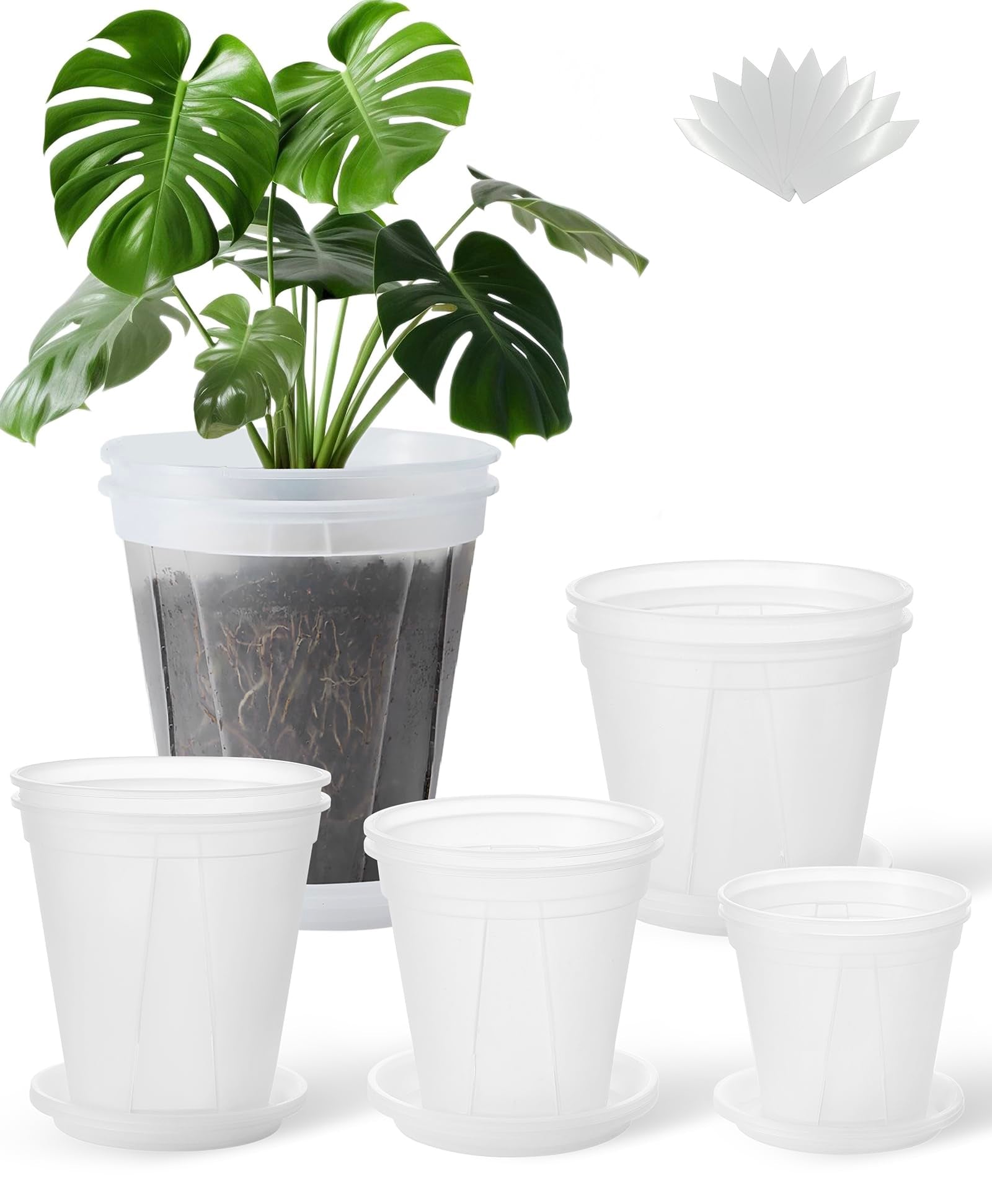 24 pcs 6/5 inch Clear Nursery pots for Plants Saucers,5/6 inch Clear Heavy pots with Side Vents for Reporting Orchids,Aroid,Monstera, Indoor & Outdoor use