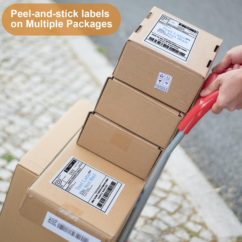 FungLam 2 Rolls 4x6 Direct Thermal Shipping Labels, 250 Labels/Roll, 1'' Core, Compatible Zebra 2844 ZP-450 ZP-500 ZP-505