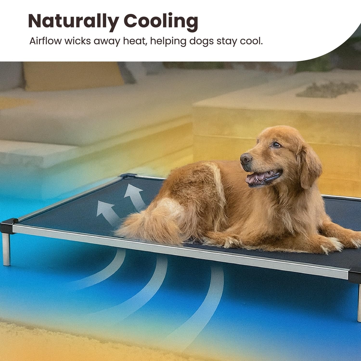 K9 Ballistics Chew Proof Elevated Cooling Outdoor Cot Bed for Small Dogs & Puppies - Virtually Indestructible, Preassembled, Withstands Aggressive Chewers - S, Black Mesh