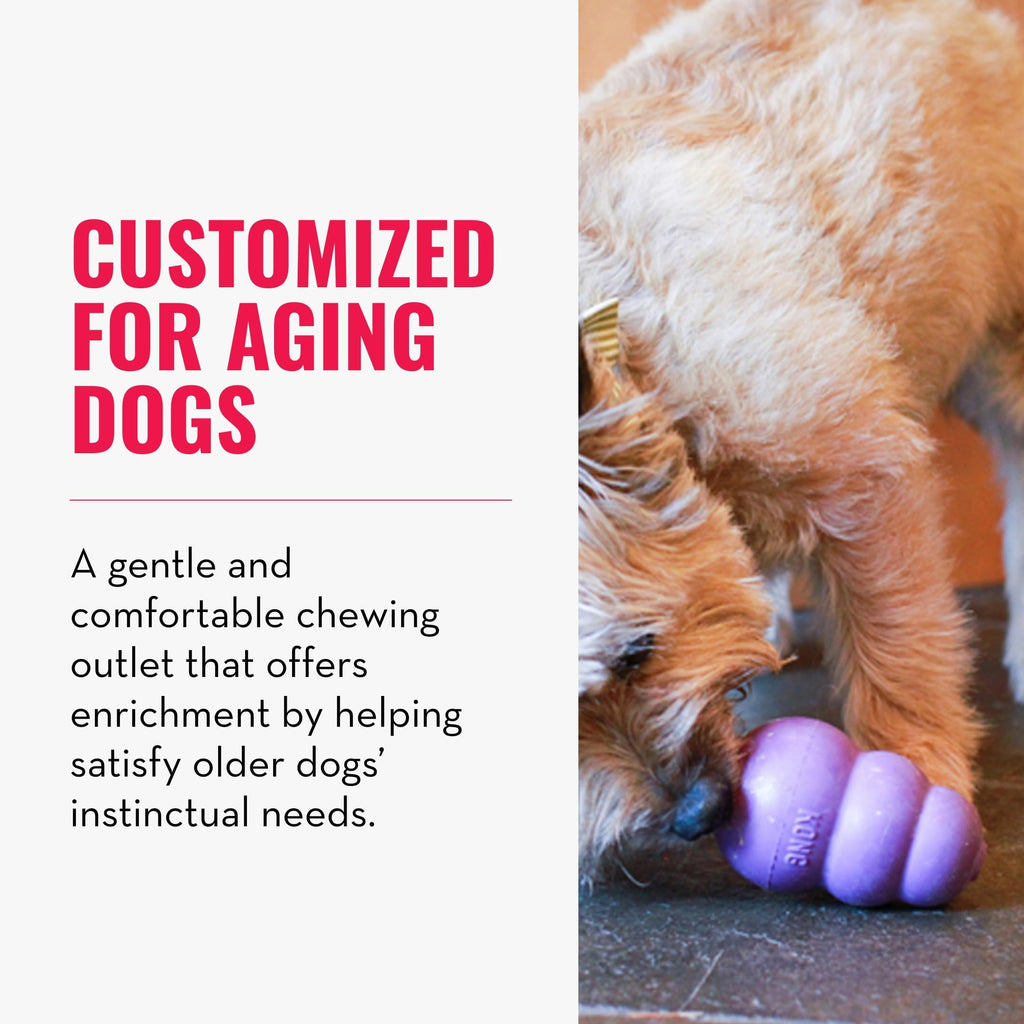 KONG Senior - Dog Toy with Gentle, Natural Rubber - Durable Dog Toy for Older Dogs - Use Treats with Stuffable Chew Toy - Treat Toy for Chewing & Fetching - for Small Dogs