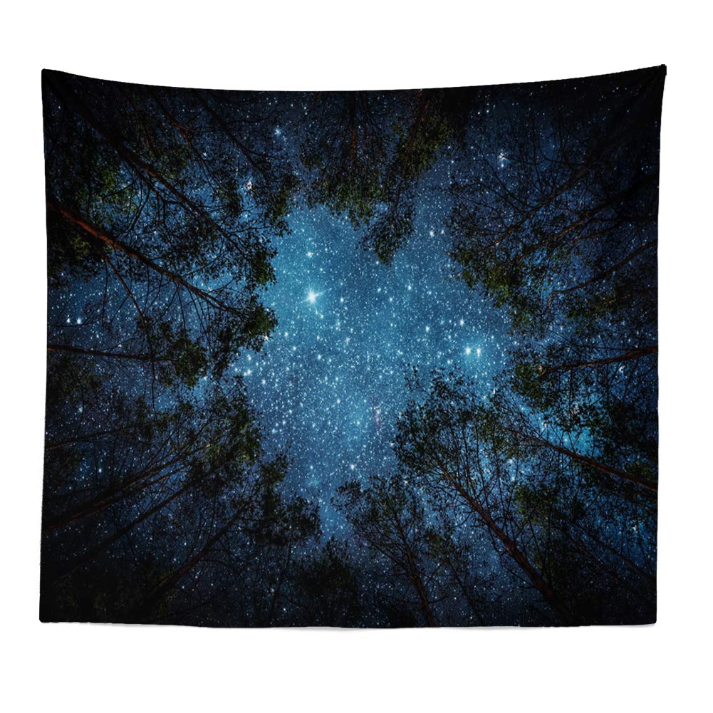 Llamazing Forest Landscape Home Decor - Living Room & Bedroom Magic Tapestry (Sunlight&Creek, 60''L51''W)