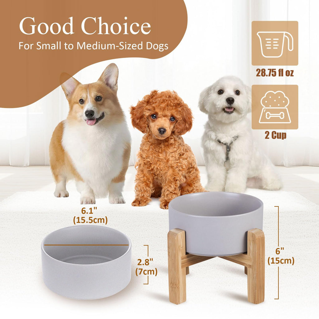Raised Ceramic Cat Bowl - Cat Food Bowl with Bamboo Stand - Elevated Dog Food Dish for Puppies - Comfort Eating - 13.5 oz - 400 ml - Green