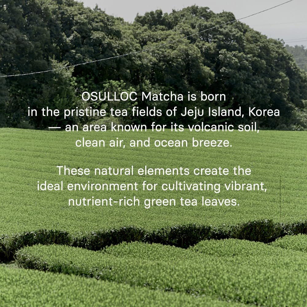 OSULLOC Volcanic Isle Matcha Powder, Ceremonial Grade Korean Matcha, Green tea powder from Jeju Island (1.41oz, 40g)
