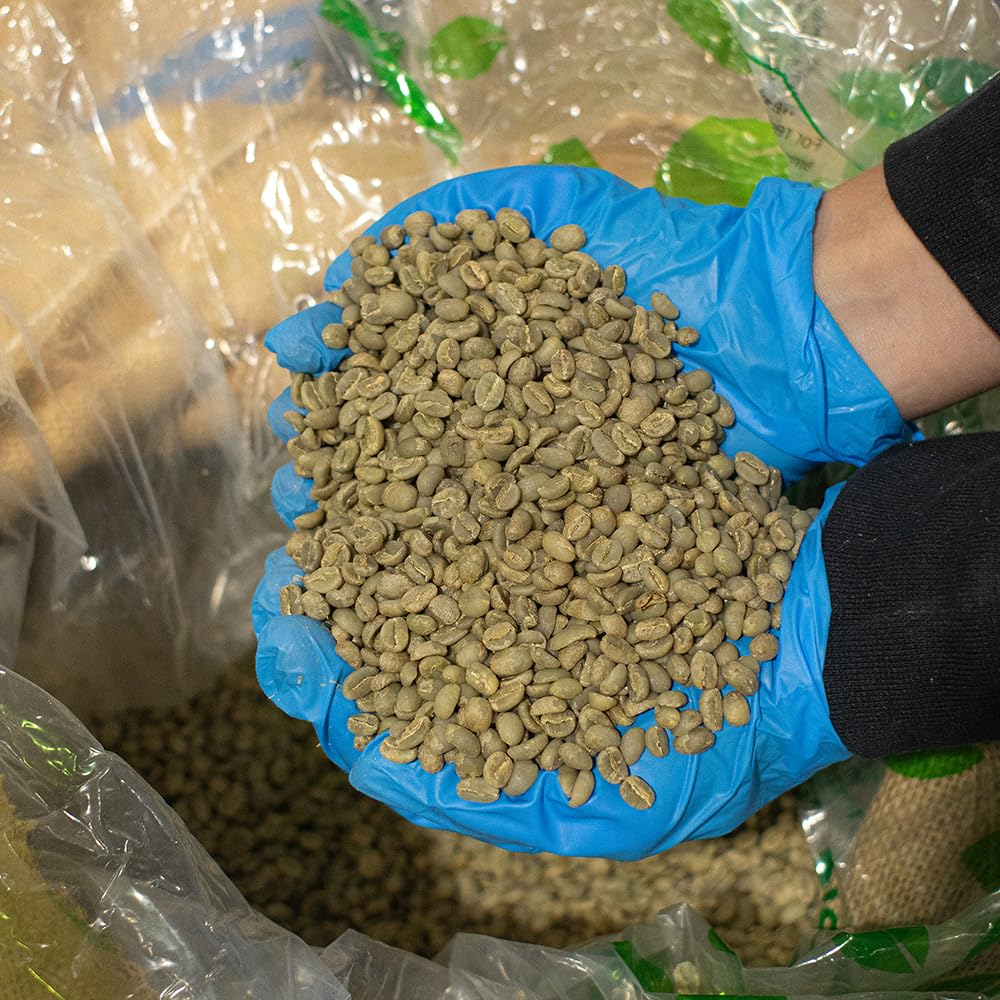 Fresh Roasted Coffee, Adventurer Unroasted Green Coffee Beans Home Roasting Starter Kit, Variety 4-Pack, Kosher, 4 lb (Four 1 lb Bags)
