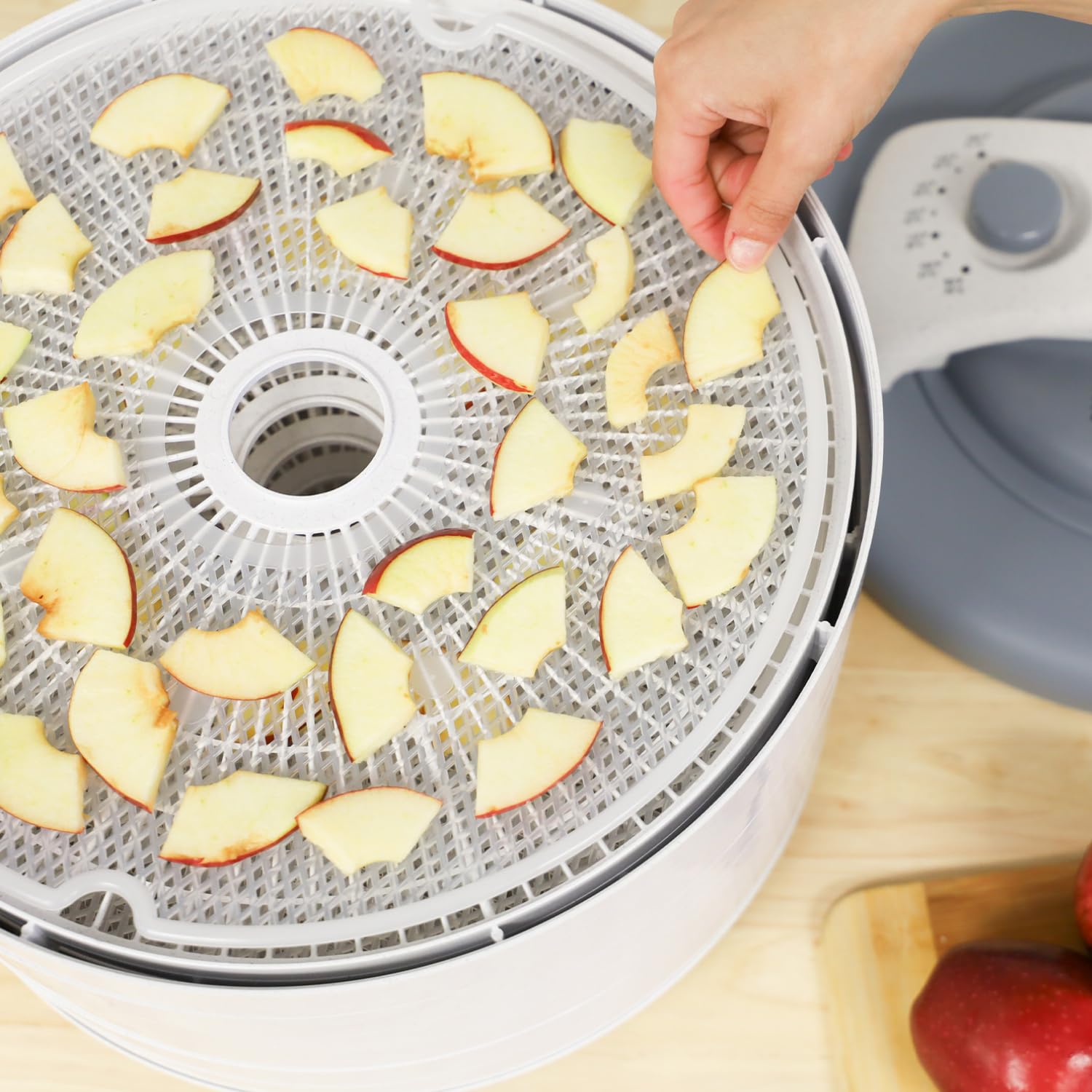 Nesco FD-61 Snackmaster Encore Food Dehydrator for Great Jerky and Snacks, 4 Trays, Gray