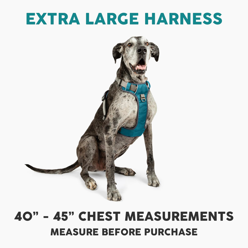Embark Adventure Dog Harness for Small, Medium & Large Dogs – No Pull, Reflective Trim, Heavy Duty Oxford, 2 Leash Clips, Gel-Lined Handle, Soft Padded