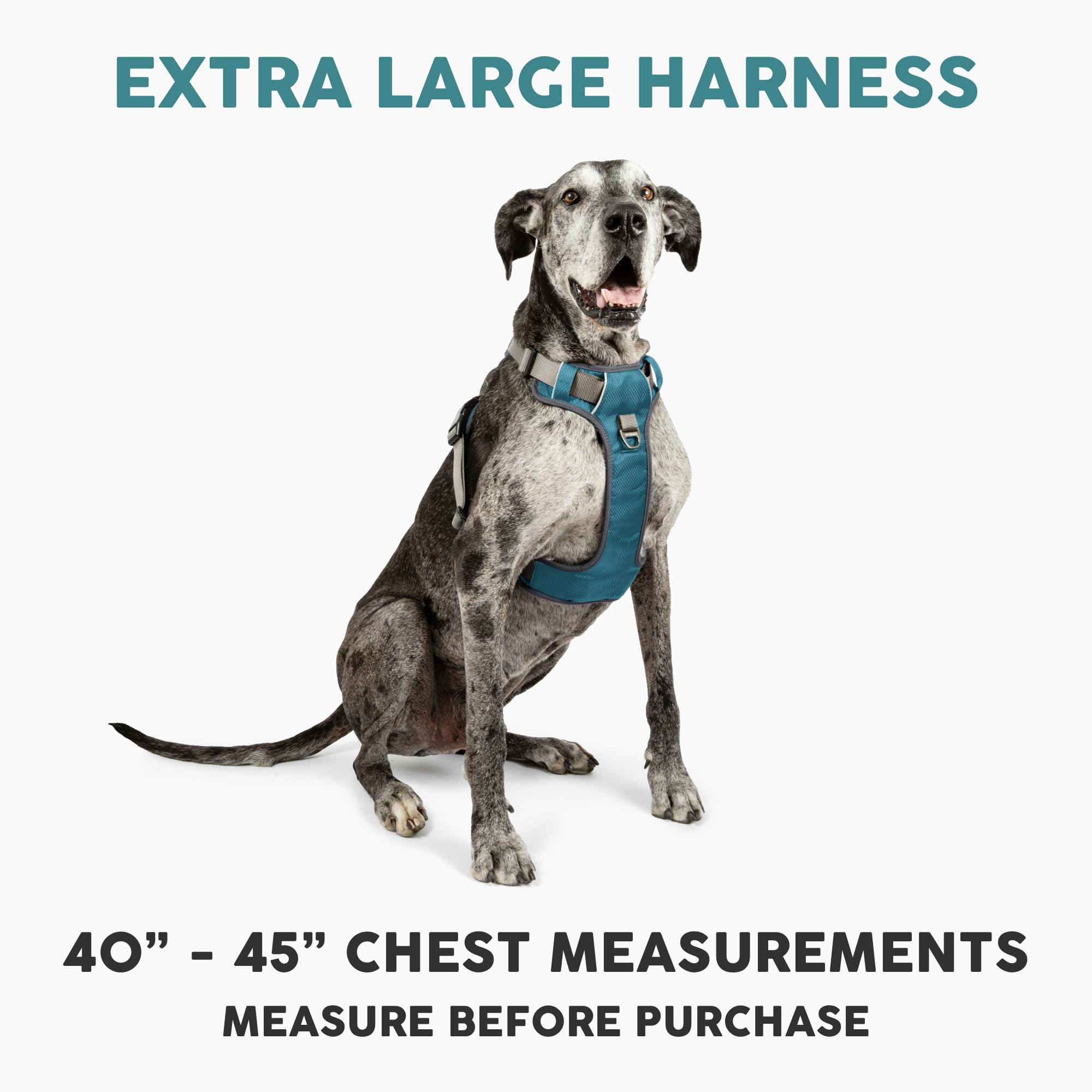 Embark Adventure Dog Harness for Small, Medium & Large Dogs – No Pull, Reflective Trim, Heavy Duty Oxford, 2 Leash Clips, Gel-Lined Handle, Soft Padded