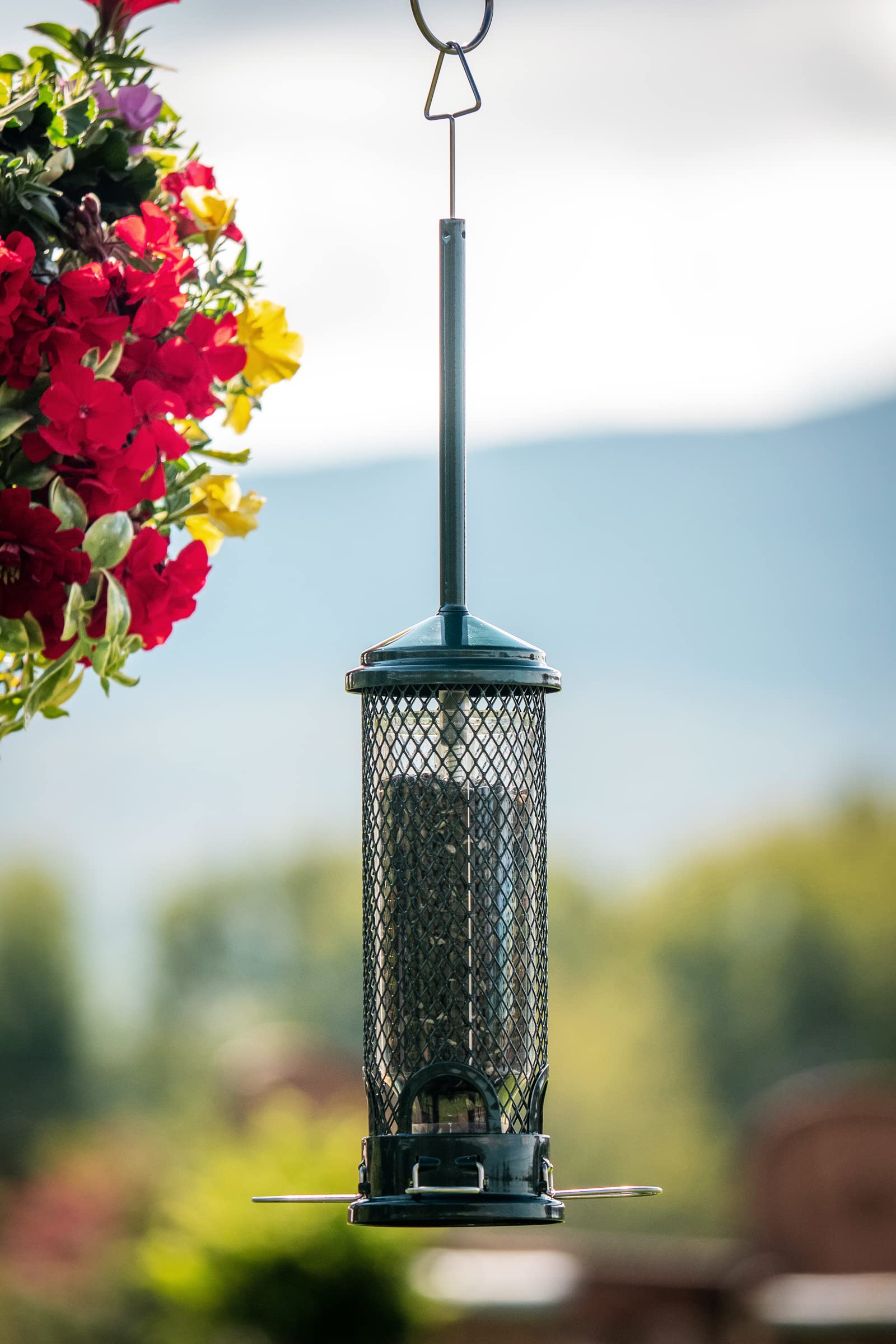 Squirrel Buster Mini Squirrel-Proof Bird Feeder for Wild Birds – 4 Metal Perches, 1 lb Seed Capacity, Chew-Proof Design, Lifetime Care, Garden Green