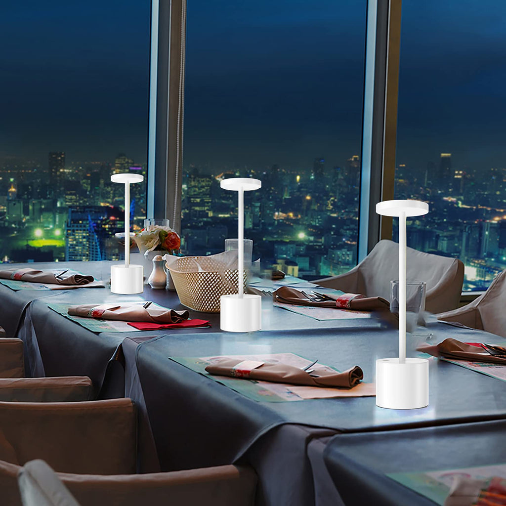 2Pack Cordless Table Lamp, Rechargeable LED Battery 5000mAh Metal USB Portable Powered Desk Lamp, 3 Levels Brightness Light for Restaurants Outdoor (2pack 10.25in Titanium)