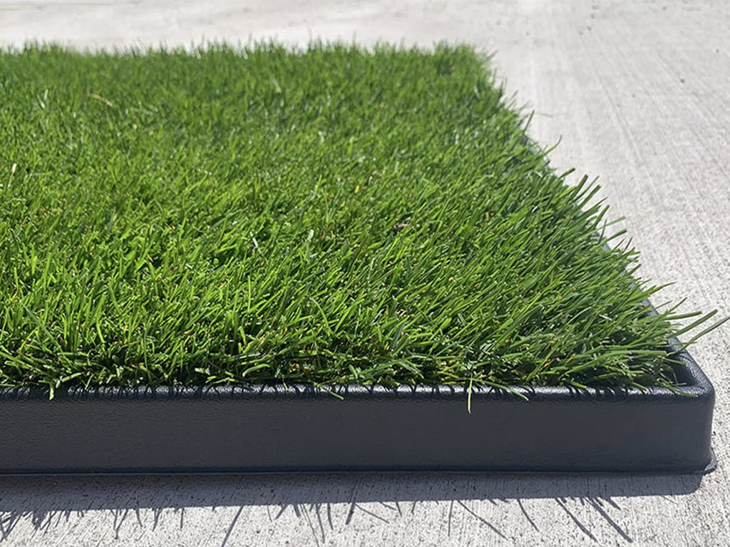 DoggieLawn XL - Real Grass Disposable Potty Training Puppy Pee Pads, Dog Grass Pee Pad, Potty Training Pee Pad, Puppy and Dogs Grass Pee Pads, Puppy Grass Pads, 48 x 24 Inches with Reusable FlexTray