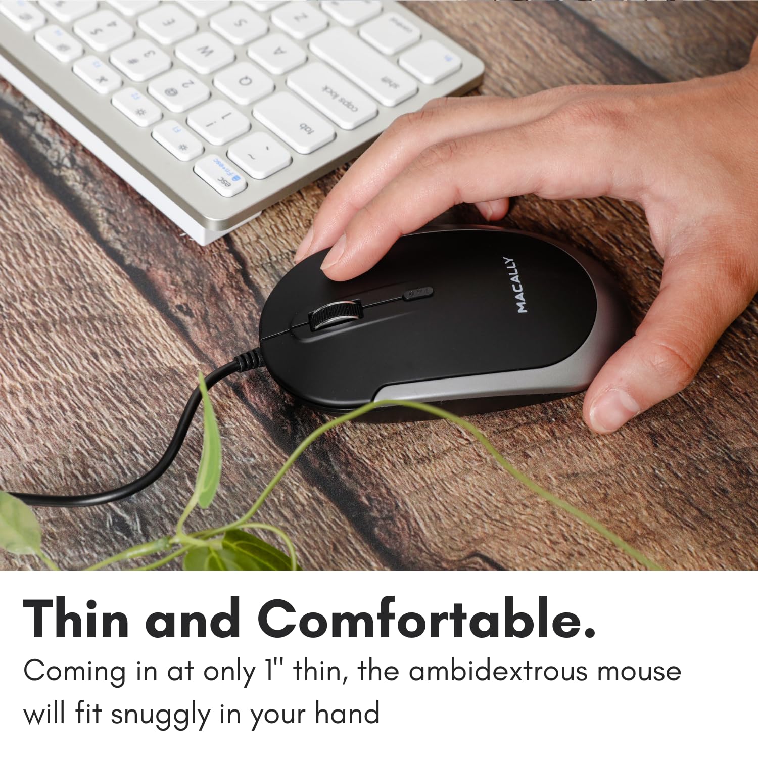 Macally Wired USB C Mouse for Mac and PC - Slim, Quiet, and Reliable - Type C Mouse for MacBook Pro/Air, iMac, Apple iPad, Laptop, Computer Desktop with 3 Button, Scroll Wheel, USBC, and 4 DPI Mode