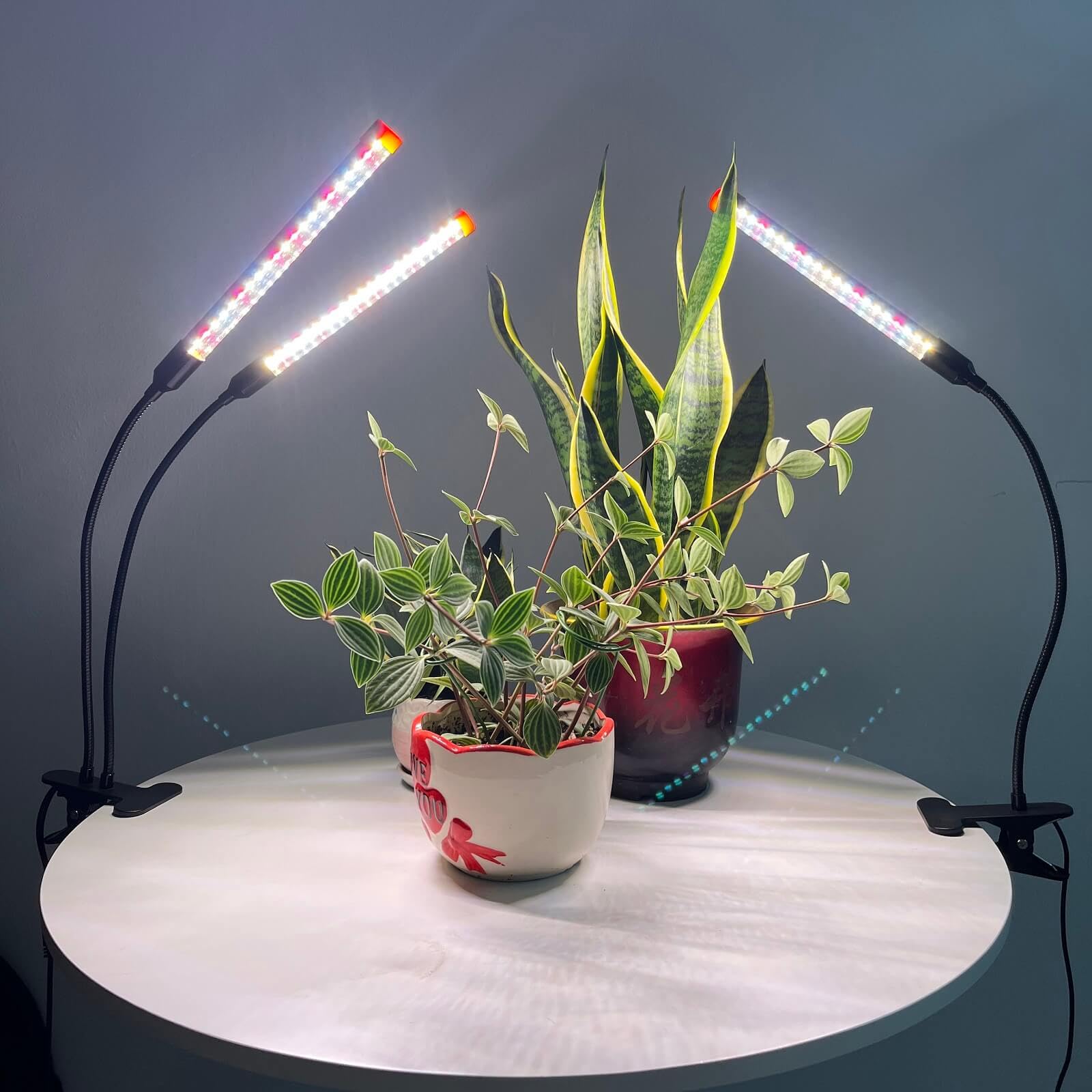 2Pack Small Clip Grow Lights for Indoor Plants, Bonsai, Mini Full Spectrum Pot Plant Grow Light, 4/8/12/16/20H Timer, 9 Watt Power Draw, NO Need Adapter