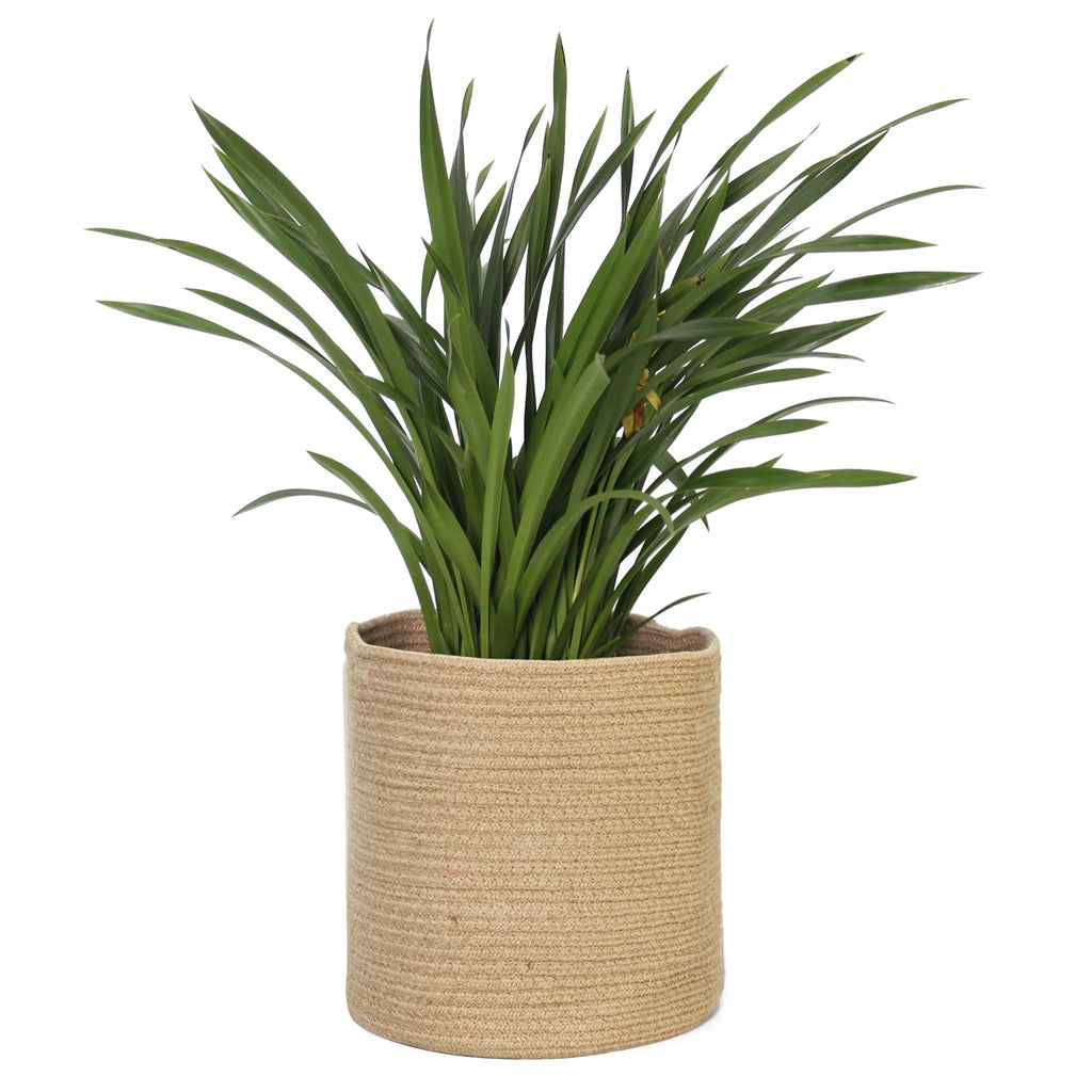 MEGASKET Cotton Rope Plant Basket, Woven Basket Planter for 10 inch Pot, Round Indoor Tree Pot Cover, Small Storage Bin Organizer, Modern Bins for Plants and Home Decor, 11”X11”, Black