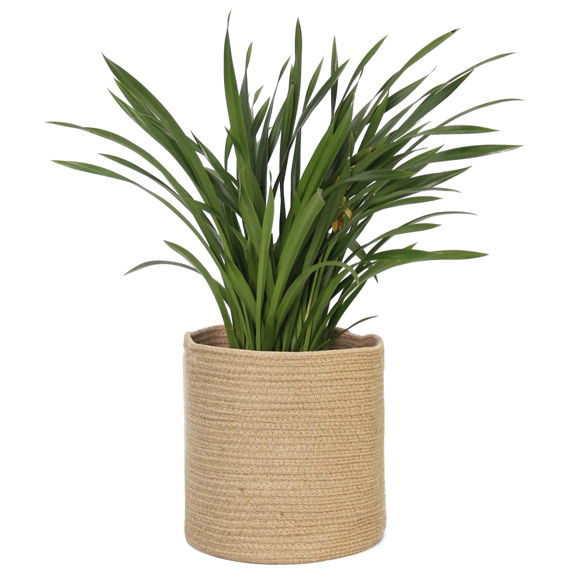 MEGASKET Cotton Rope Plant Basket, Woven Basket Planter for 10 inch Pot, Round Indoor Tree Pot Cover, Small Storage Bin Organizer, Modern Bins for Plants and Home Decor, 11”X11”, Black