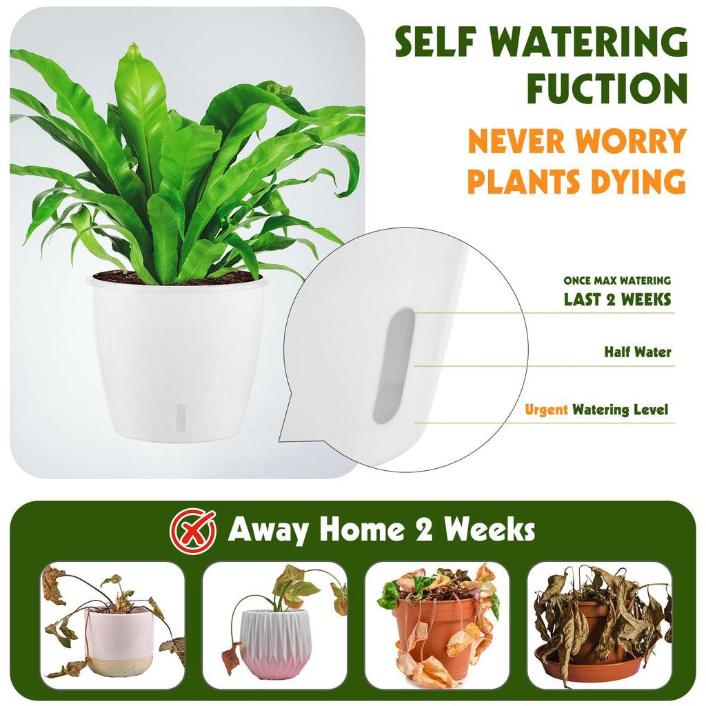 Self-Watering Pots for Indoor Plants, 16-Pack Self Watering Planter with Drainage Holes, Small African Violet Pots with Water Indicator, 10-Pack 5''/6-Pack 6.7'' Orchid Pot, Black