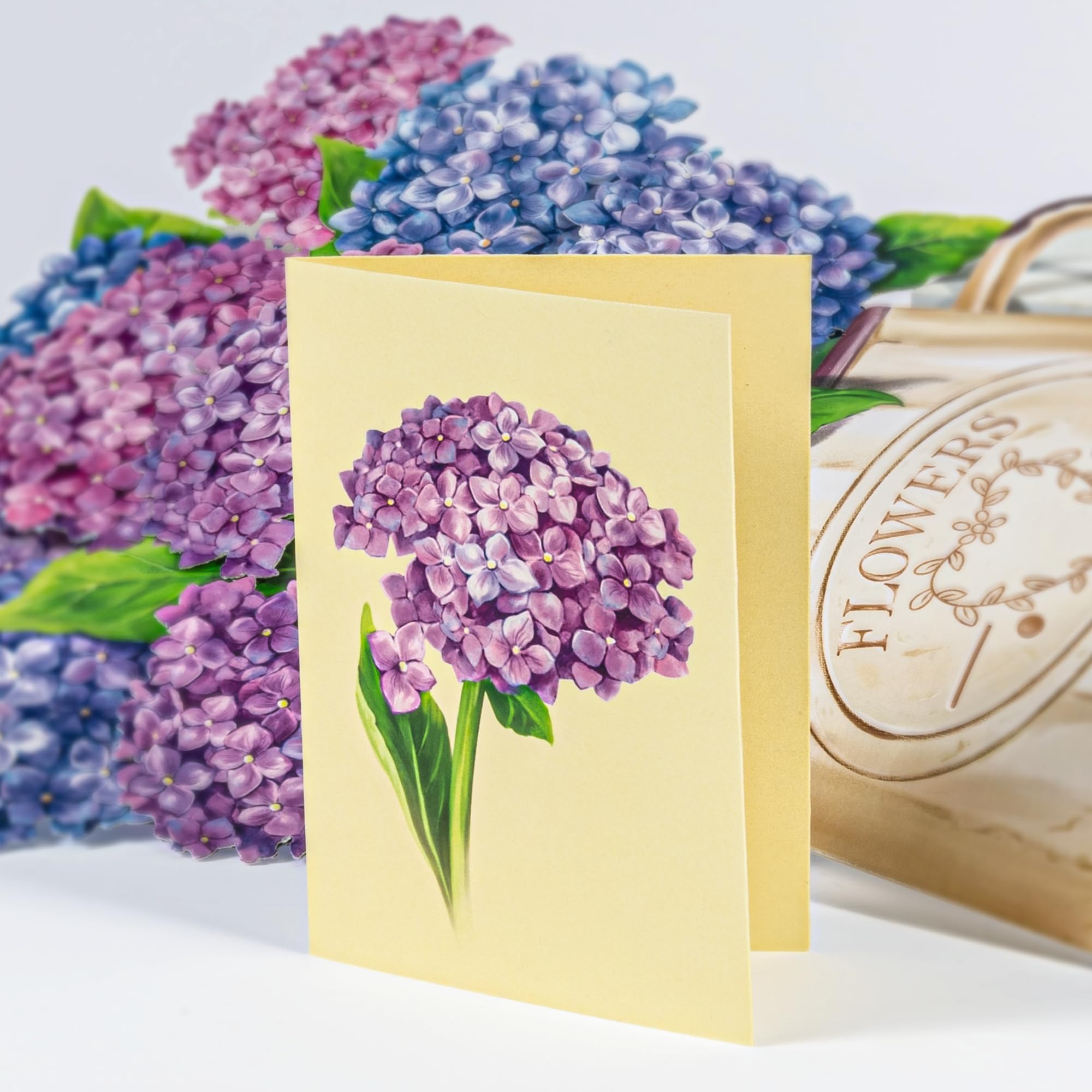 Airpark 3D Pop Up Paper Flowers Bouquet Card 12’‘ with Note & Envelope, Birthday Gifts, Get Well, Thank You, Greeting Cards for Women Mom Wife Friends, Daisies and Butterflies