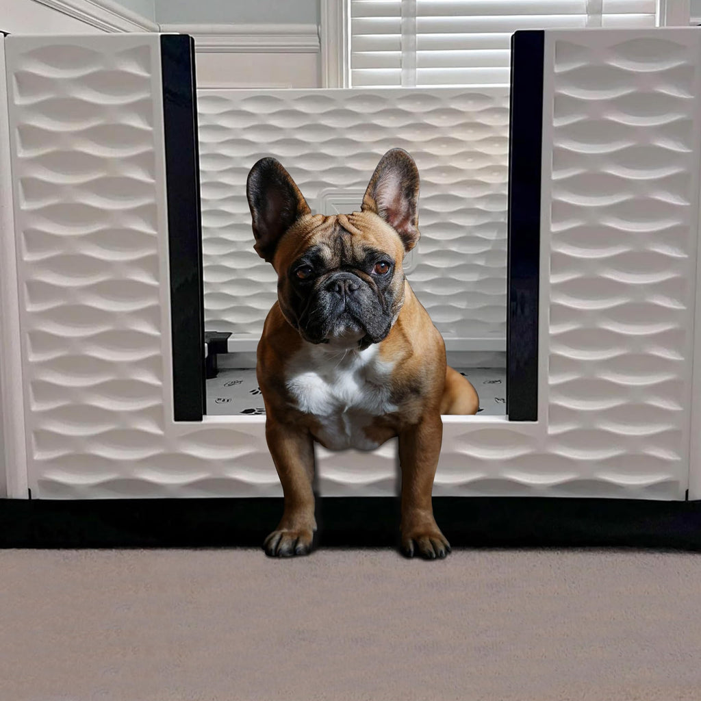 EZwhelp EZclassic Windowed 48"x48"x18" Whelping Box with Rails and Windowed Walls, Padded Dog Whelping Box, Black Pad