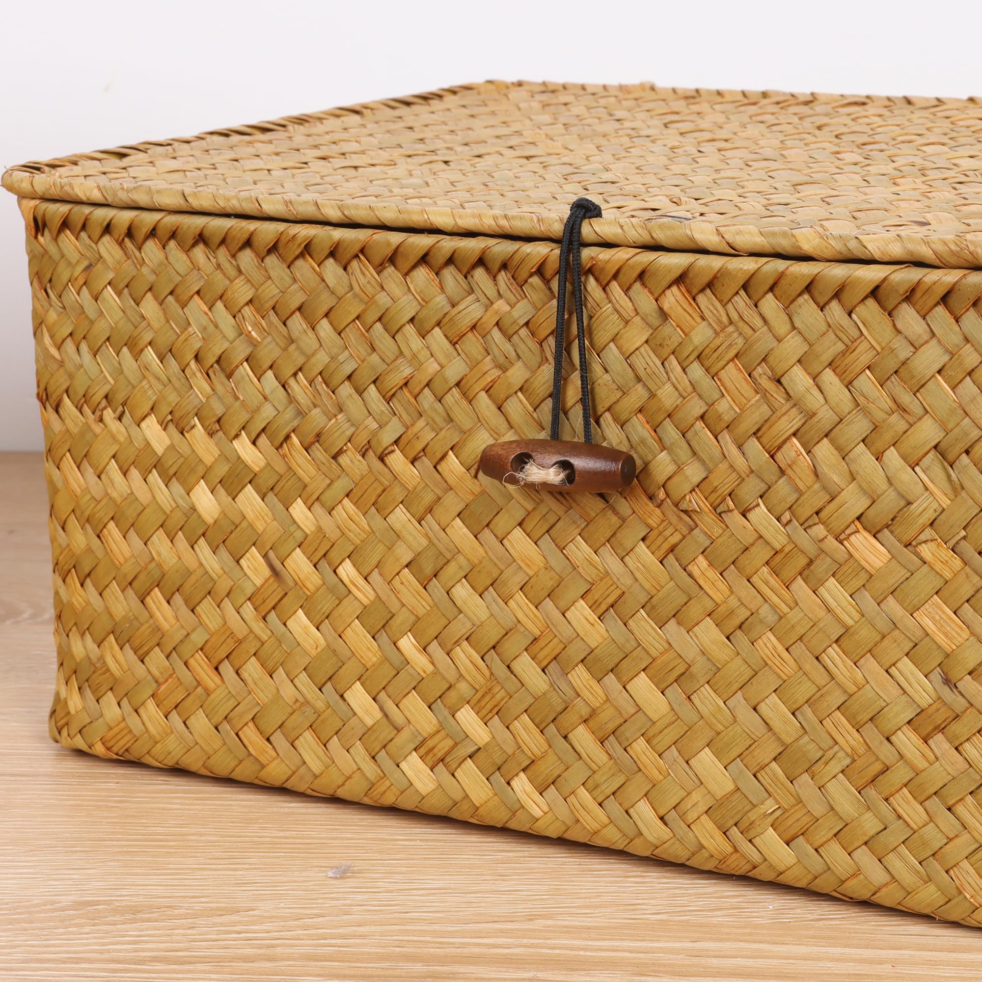 FEIALNDUO Wicker Shelf Baskets with Lid,Seagrass Storage Basket Bins Rectangular Handwoven Basket Boxes for Shelves Desktop Home Organizer (Coffee, X-Small)