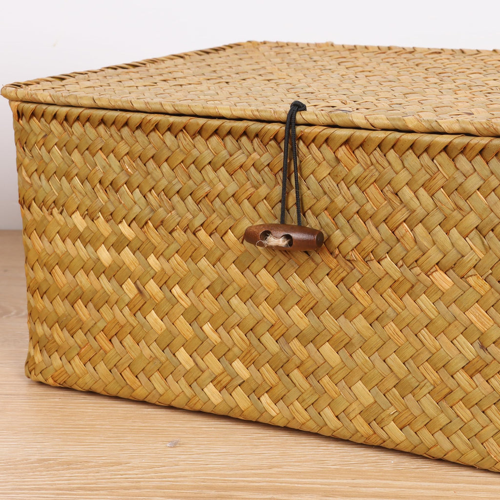 FEIALNDUO Wicker Shelf Baskets with Lid,Seagrass Storage Basket Bins Rectangular Handwoven Basket Boxes for Shelves Desktop Home Organizer (Coffee, X-Small)
