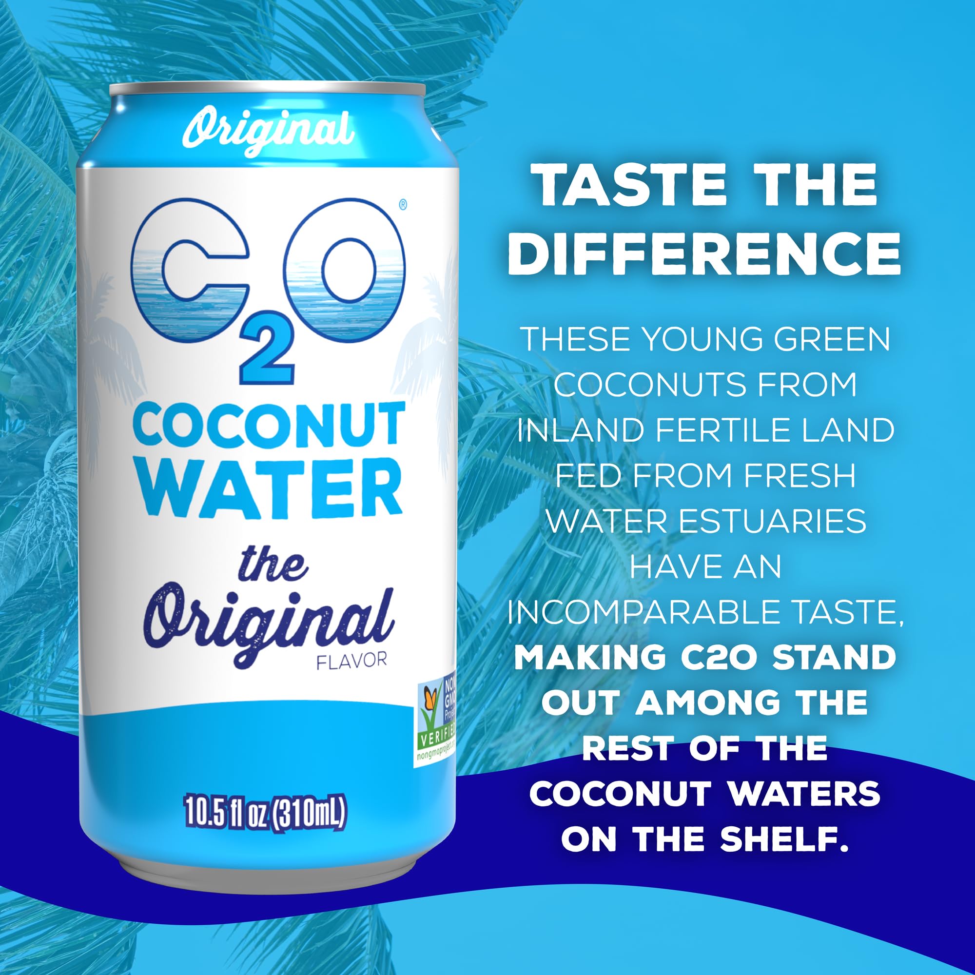 C2O - Coconut Water with Ginger, Lime, & Turmeric (12 Pack) - Made with Fresh Coconut Water - Plant Based - Non GMO - Canned Water - Natural Hydration, Electrolytes, & Potassium - 12 Cans, 17.5 FL OZ
