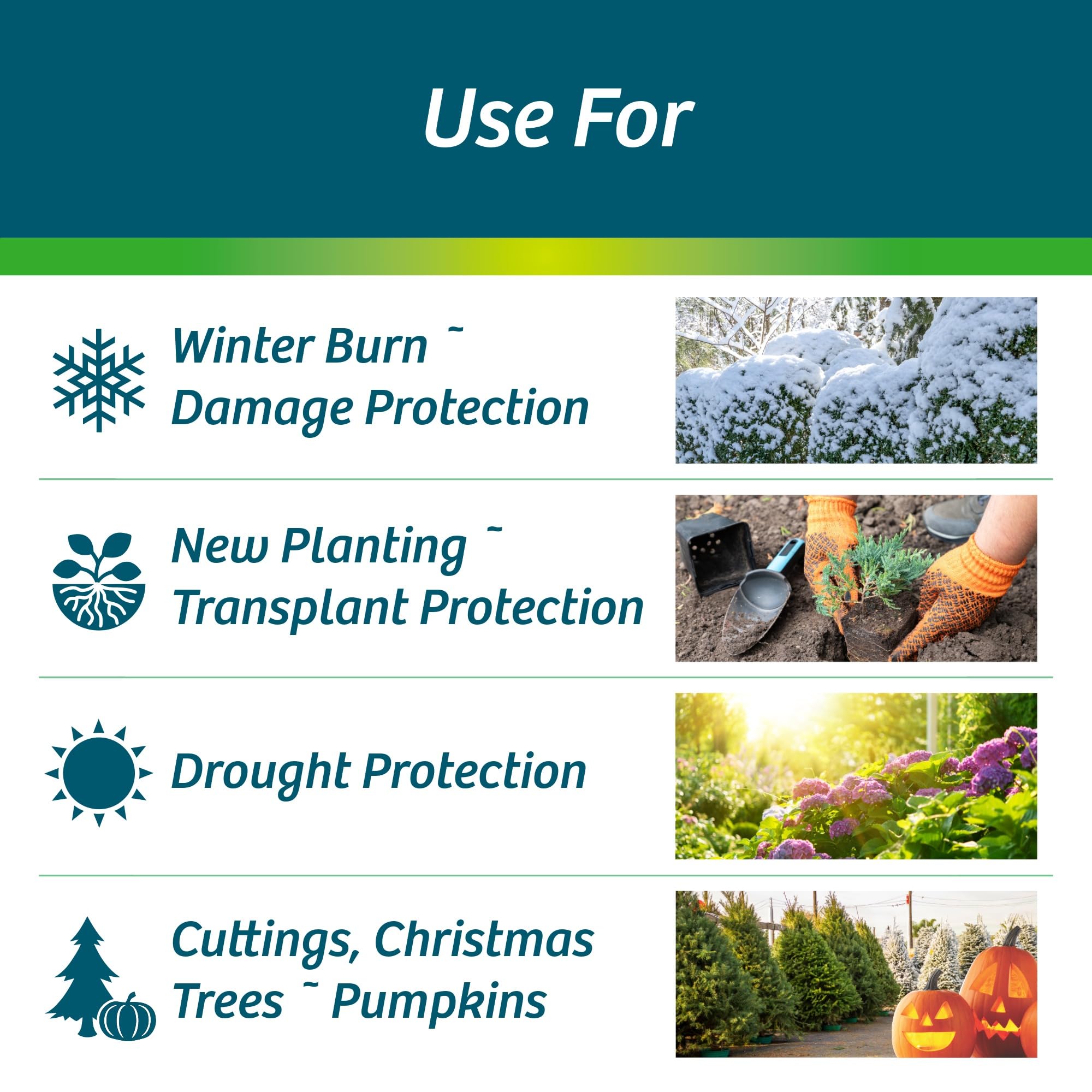 Wilt-Pruf® Concentrate | Protect Against Winter Damage, Drought, and Stress | Just Spray & Let Dry | Locks in Moisture w/Clear Foliar Film | Professional-Grade & Trusted | Replaces Burlap | (1 Gal)
