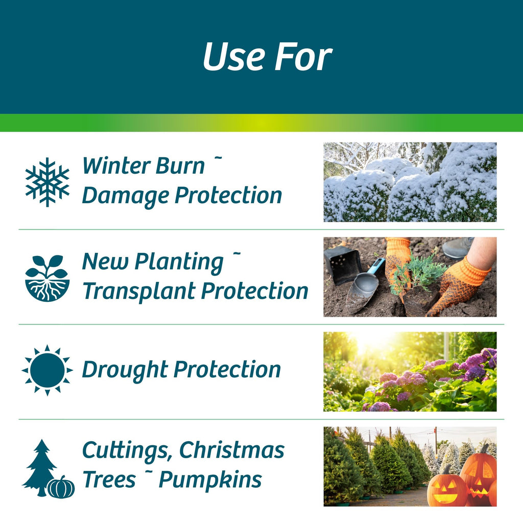 Wilt-Pruf® Concentrate | Protect Against Winter Damage, Drought, and Stress | Just Spray & Let Dry | Locks in Moisture w/Clear Foliar Film | Professional-Grade & Trusted | Replaces Burlap | (1 Gal)