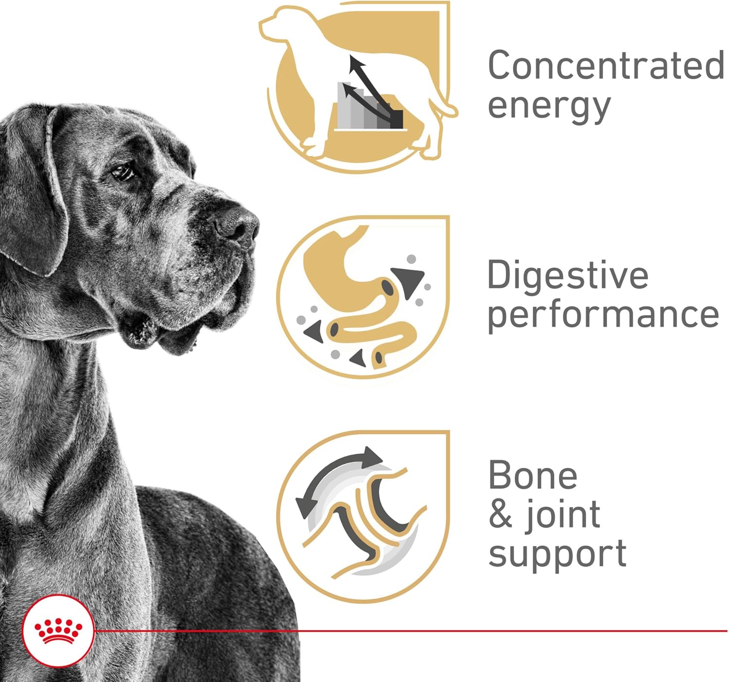 Royal Canin Breed Health Nutrition Great Dane Adult Dry Dog Food, 30 lb Bag