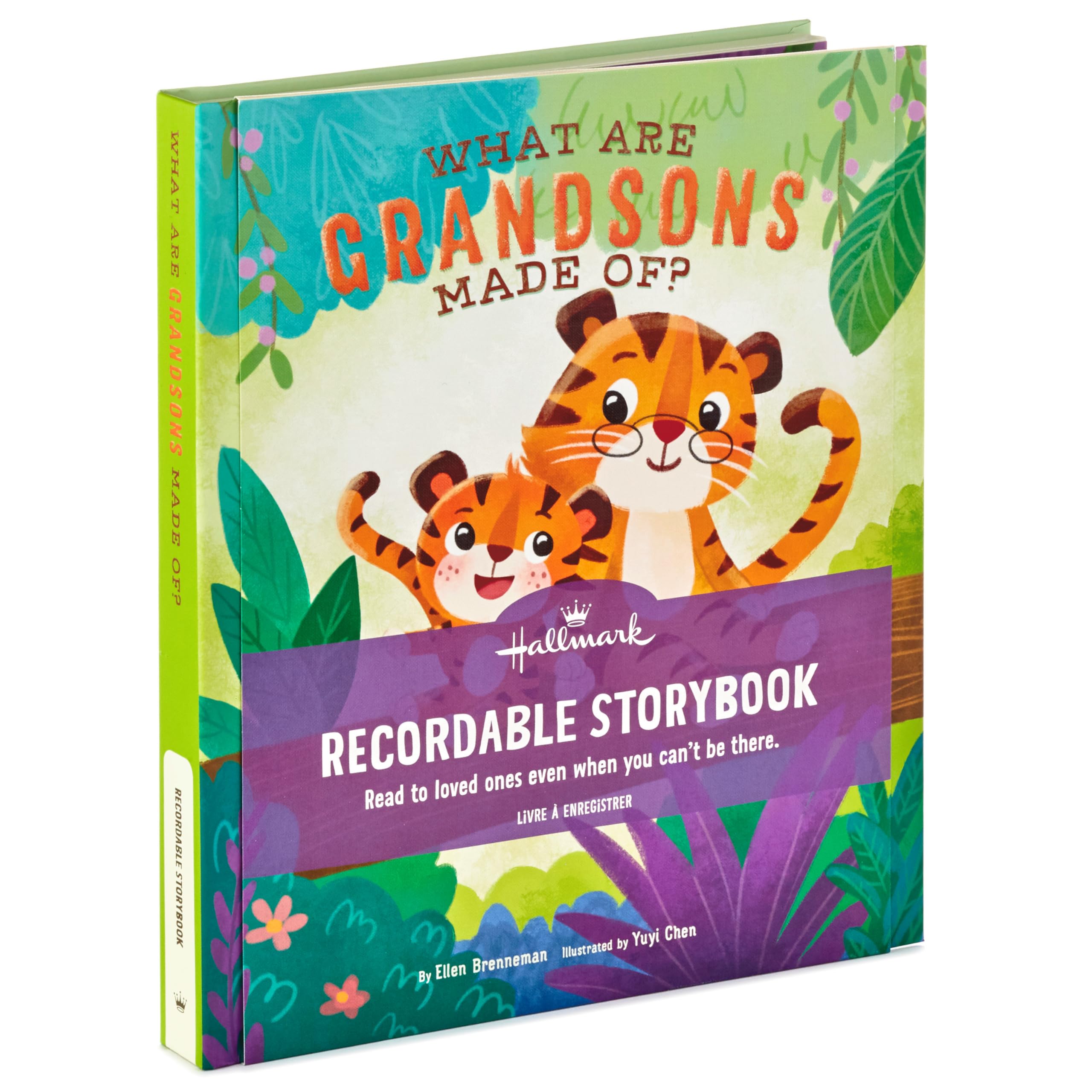 Hallmark Recordable Storybook with Music (I Love You Like) Easter Basket Stuffers