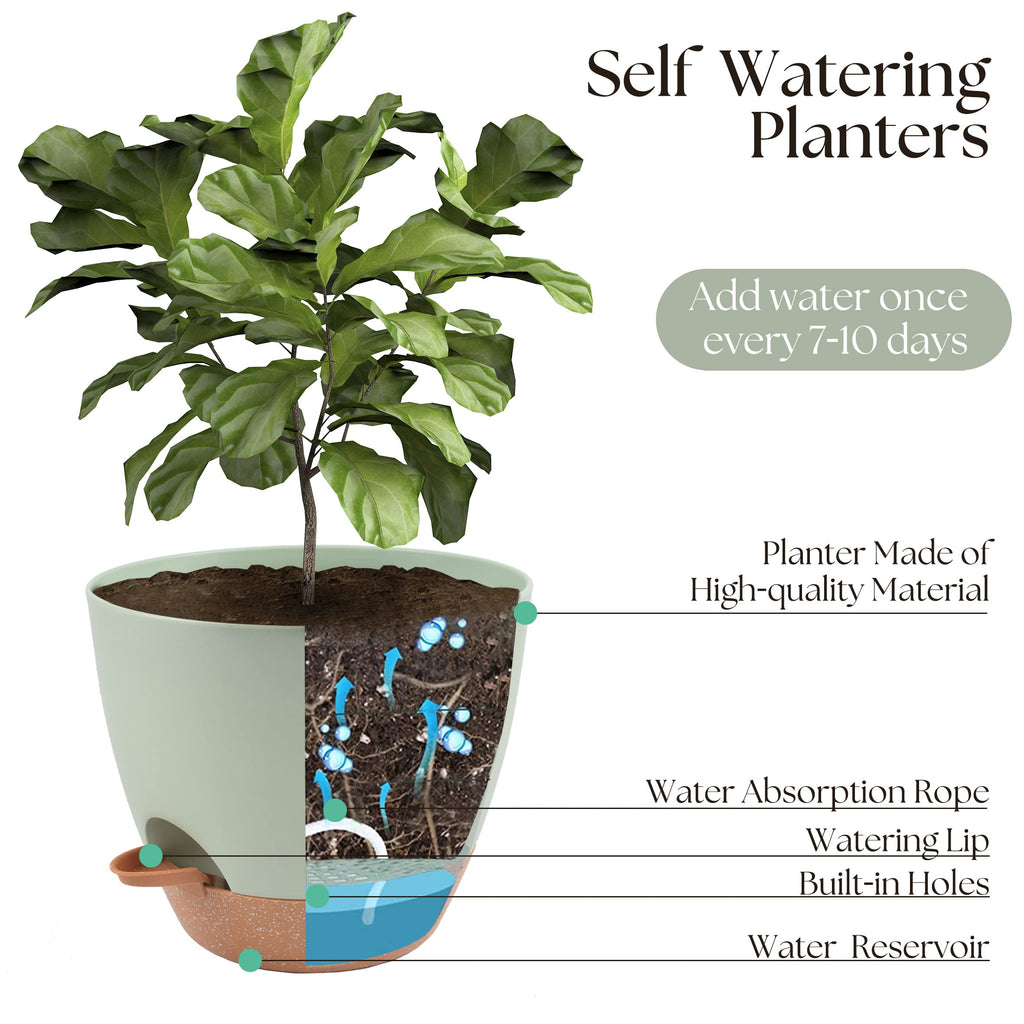 TYMENSH Plant Pots 12/10/9 Inch Set of 3, Self Watering Planters with Drainage Holes and Water Reservoir, Heavy Duty Plastic Flower Pots for Indoor Outdoor Plants, Green