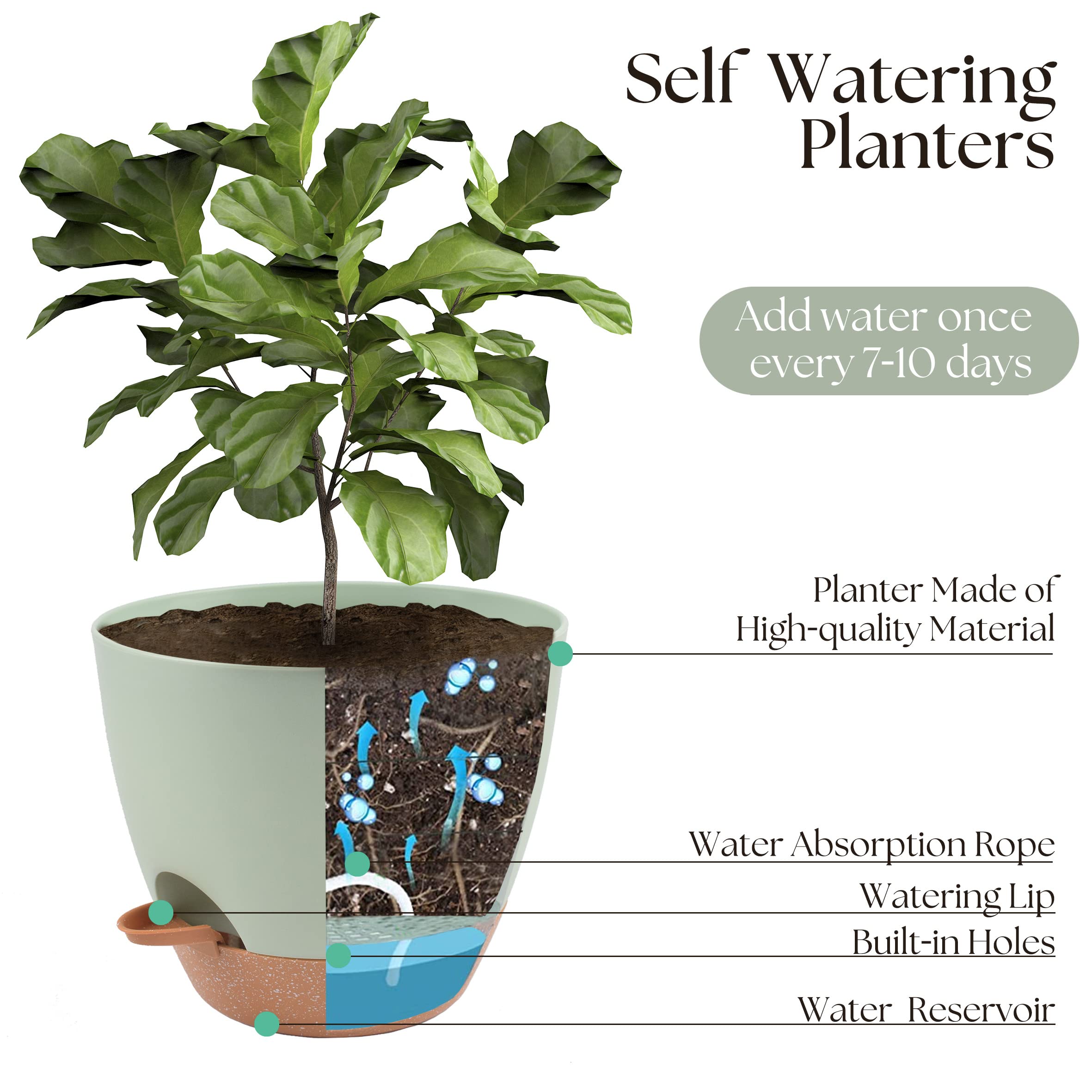 TYMENSH Plant Pots 12/10/9 Inch Set of 3, Self Watering Planters with Drainage Holes and Water Reservoir, Heavy Duty Plastic Flower Pots for Indoor Outdoor Plants, Green