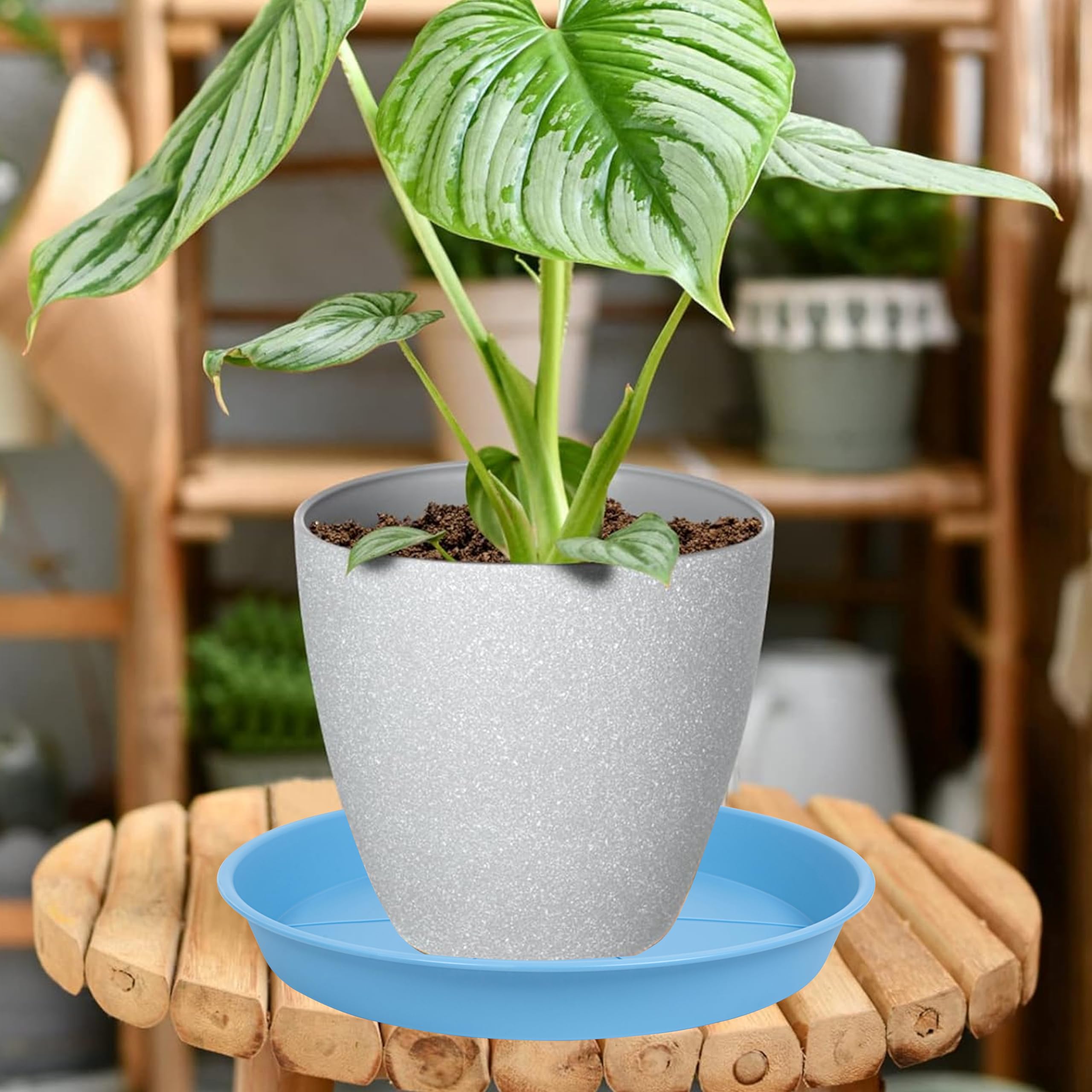 OVZILKI 6 Pack of Plant Saucer Tray 4 6 8 10 12 14 17 19 22 25 inch, Heavy Duty Plastic Pot Plant Drip Trays Saucers for Indoors Outdoor, Plant Water Tray for Planters 3-5" (4", Beige)