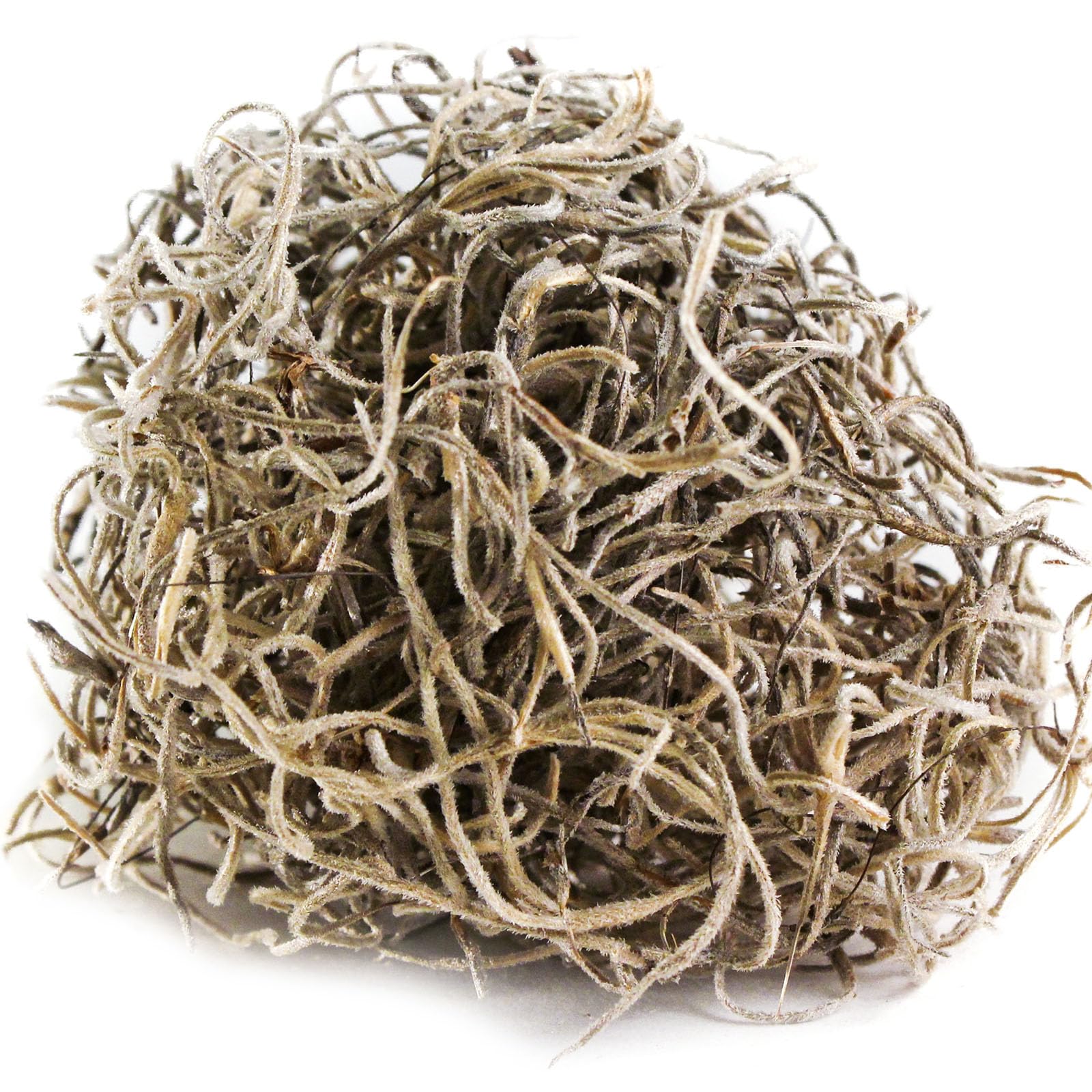 SuperMoss (26926) Spanish Moss Dried, Natural, 3 Pounds