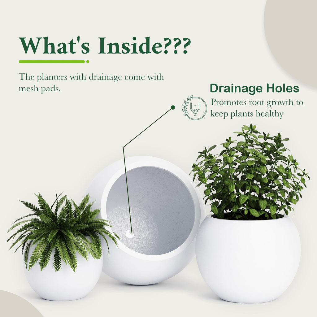 DTY Fiberstone Globe Planter Indoor Outdoor — Lightweight Sphere Ball Pot for Olive Tree, Monstera & Palm | Fiberglass Stone | UV Resistant, Drainage Hole | 2 Coco Mats | Black | 12.6" D × 10" H