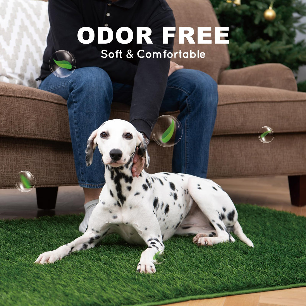HQ4US 4LEGS Artificial Grass, Dog Pee Grass Pads for Dogs Potty, 2PCS Odor Free Fake Grass for Dogs Small 22" x 14" with Countless Drainage Holes, Dog Potty Grass Hemmed Edge Realistic