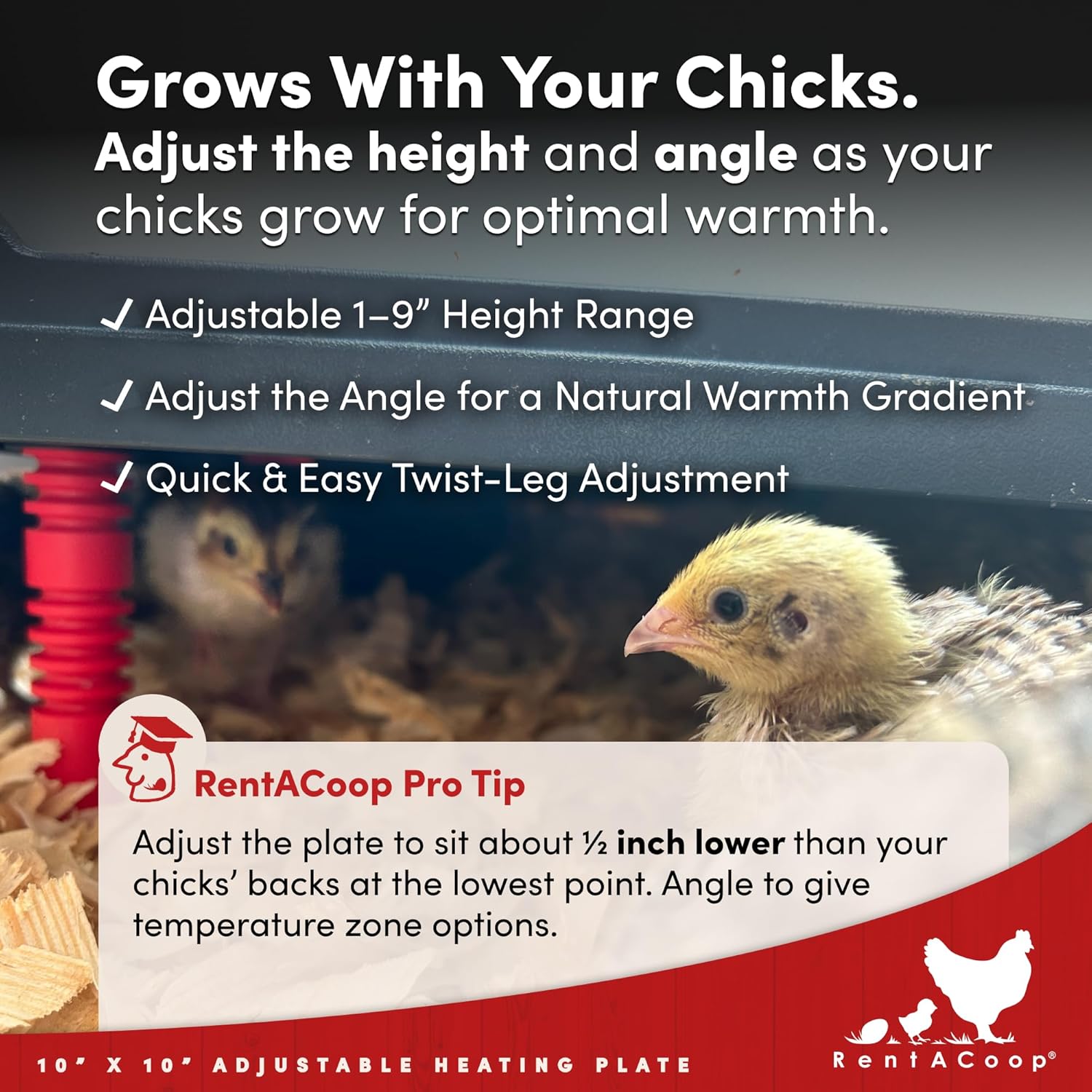 RentACoop 10x10” Adjustable Heating Plate with Bonus Foldable Anti-Roost Cone for up to 15 Chicks | Chick Brooder Heat Plate – Energy-Efficient 15-Watt Chick Heater - Safer Than Heat Lamps