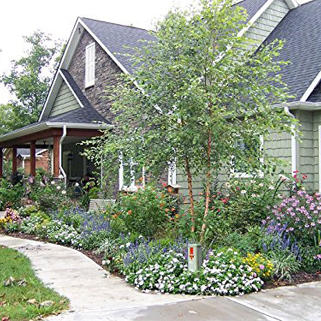 Algreen Faux Rock Cover, Decorative Accent for Garden & Landscaping, Warm Gray - Realistic Outdoor Hideaway for Pipes, Wells, Cable Boxes & Sprinkler Valves