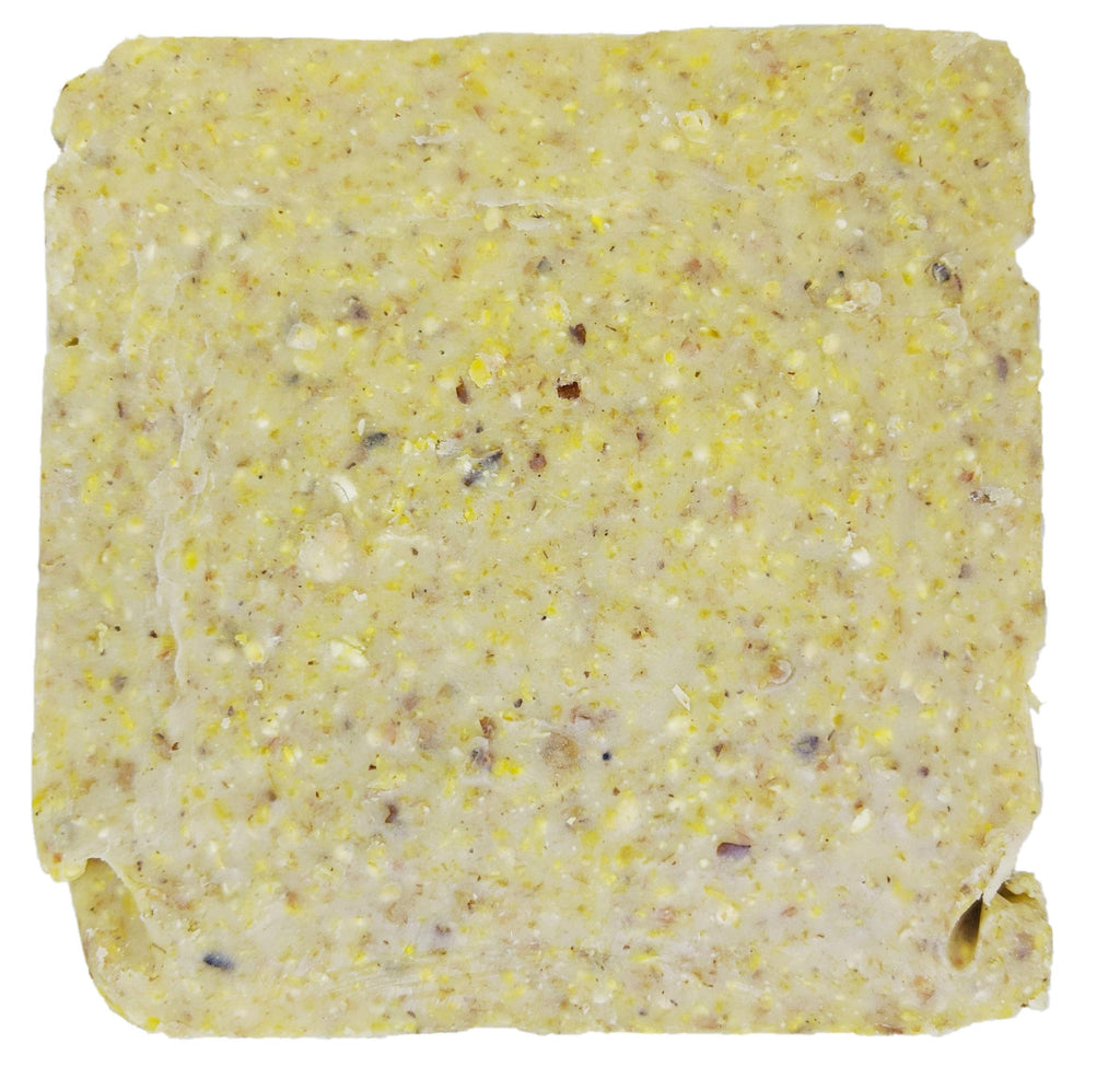 ST. ALBANS BAY SUET PLUS Suet Cake Variety Packs | 11 oz. Wild Bird Suet Cakes | (Apple, 10 Pack)
