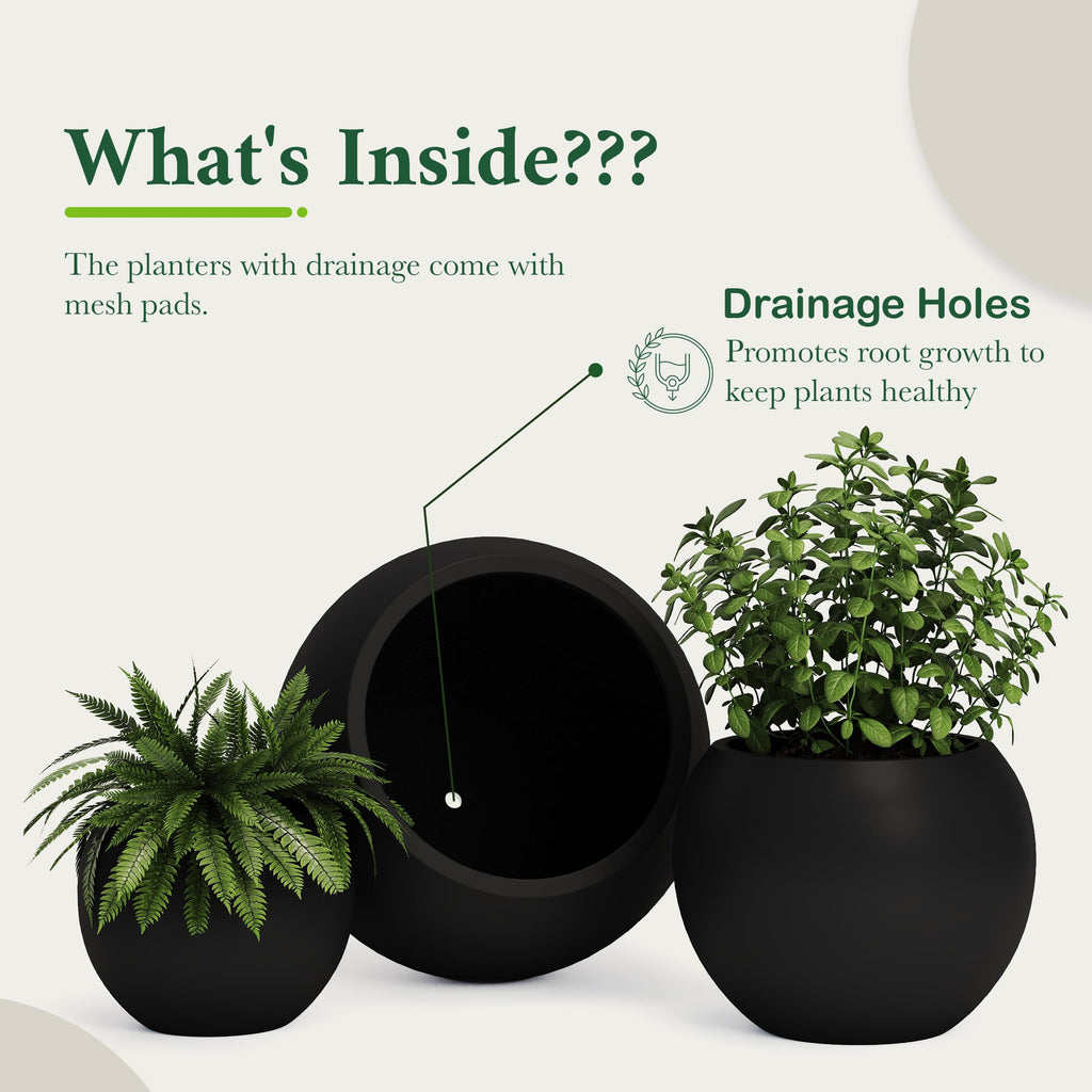 DTY Fiberstone Globe Planter Indoor Outdoor — Lightweight Sphere Ball Pot for Olive Tree, Monstera & Palm | Fiberglass Stone | UV Resistant, Drainage Hole | 2 Coco Mats | Black | 12.6" D × 10" H