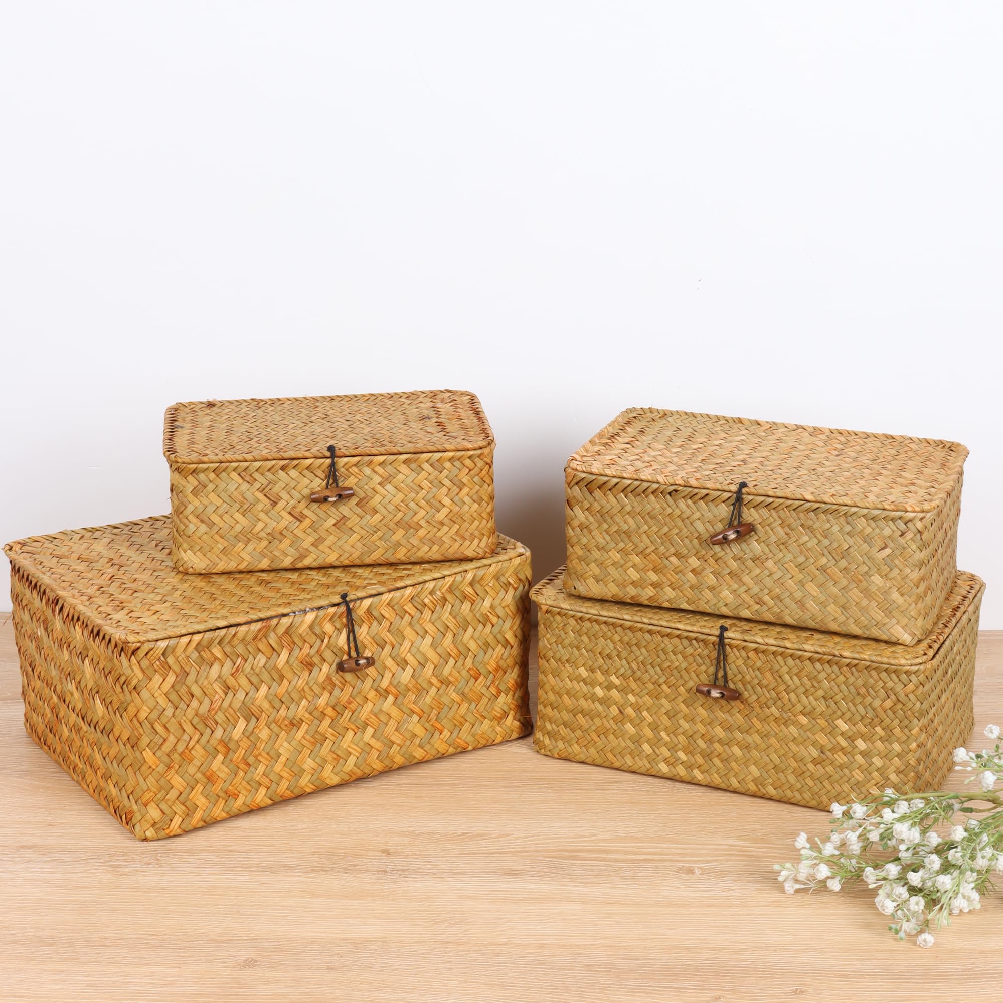 FEIALNDUO Wicker Shelf Baskets with Lid,Seagrass Storage Basket Bins Rectangular Handwoven Basket Boxes for Shelves Desktop Home Organizer (Coffee, X-Small)