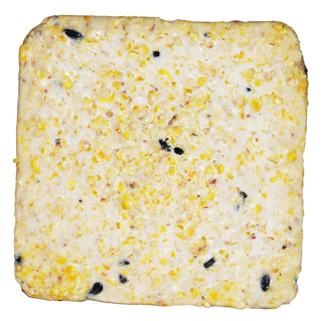 ST. ALBANS BAY SUET PLUS Suet Cake Variety Packs | 11 oz. Wild Bird Suet Cakes | (Apple, 10 Pack)