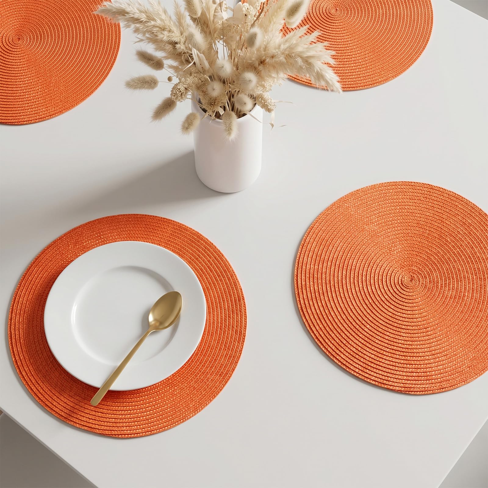 AHHFSMEI Round Placemats Set of 6 Heat Resistant Washable Non-Slip Woven Braided Table Mats for Dining Table Kitchen & Home Decor (Beige)