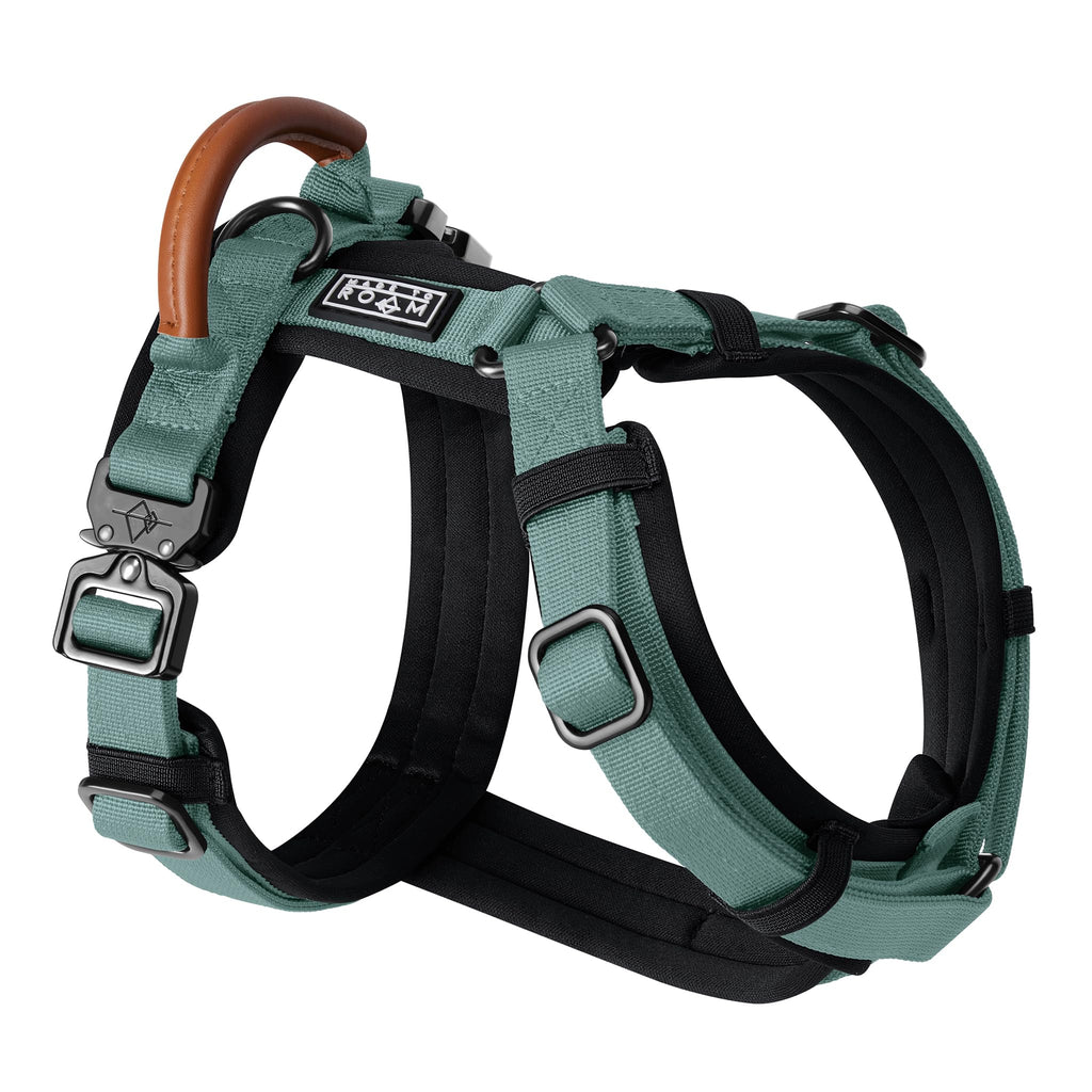 MADE TO ROAM Premium Explorer Harness - Y-Shaped Dog Harness with Adjustable Durable Nylon, Soft Padding, Metal Buckles and Leather Handle for Small, Medium, Large Dogs (Alaska Daybreak, Size 1)