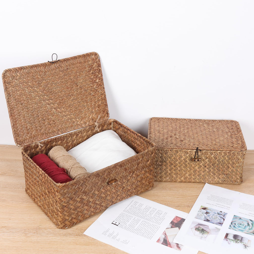 FEIALNDUO Wicker Shelf Baskets with Lid,Seagrass Storage Basket Bins Rectangular Handwoven Basket Boxes for Shelves Desktop Home Organizer (Coffee, X-Small)