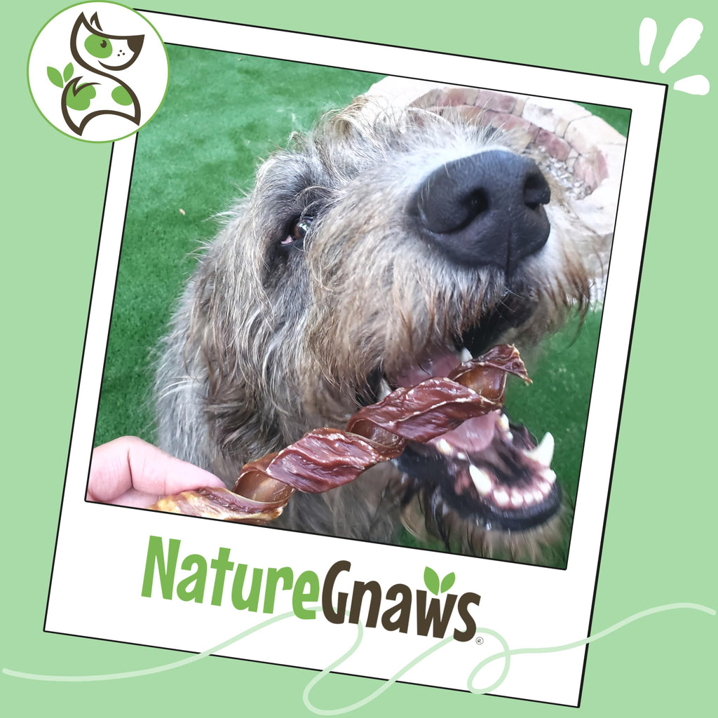Nature Gnaws Beef Gullet Chews for Small Dogs 4-5" (20 Count) - Natural Beef Jerky Stick Dog Chew Treats - Rawhide Free
