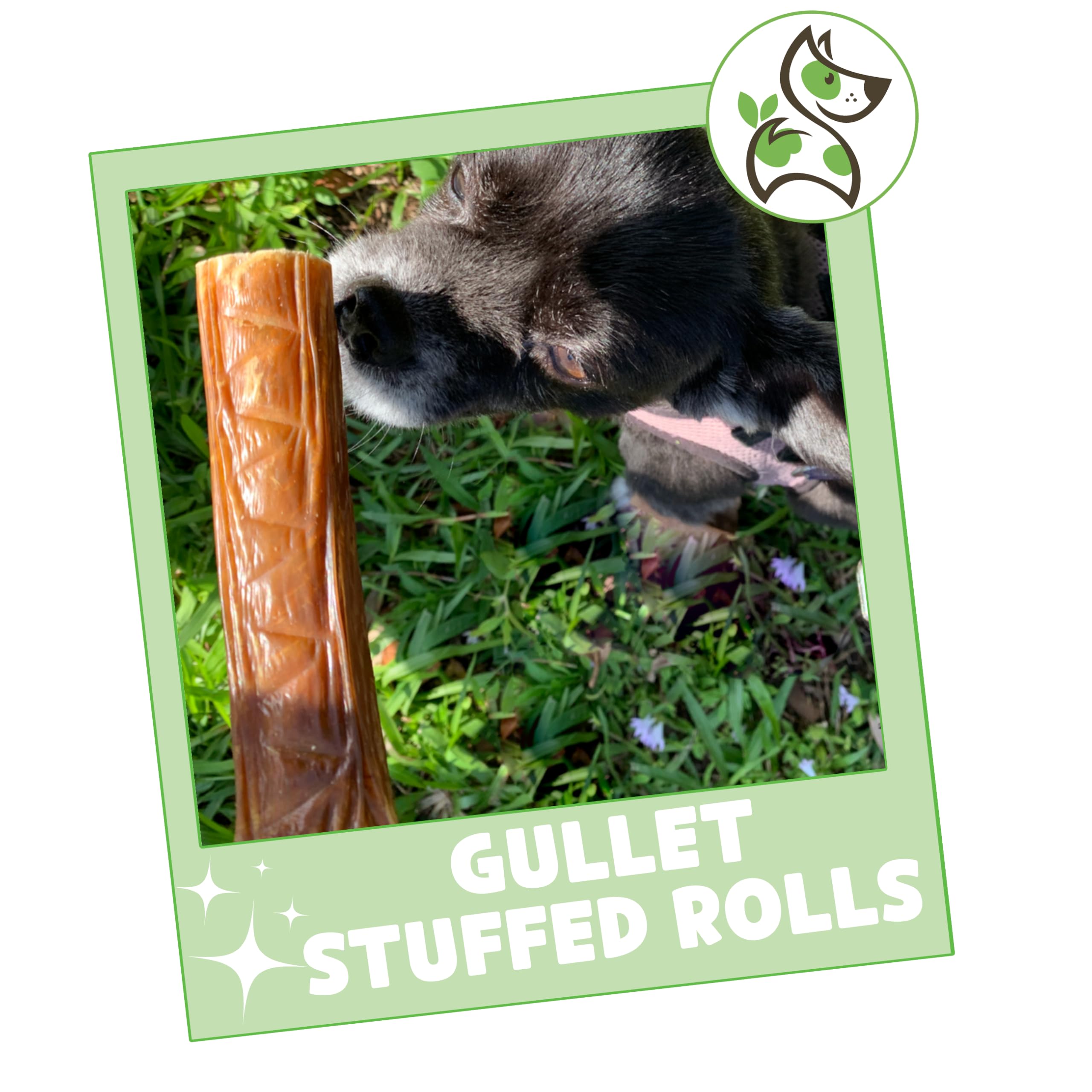 Nature Gnaws Beef Gullet Chews for Small Dogs 4-5" (20 Count) - Natural Beef Jerky Stick Dog Chew Treats - Rawhide Free