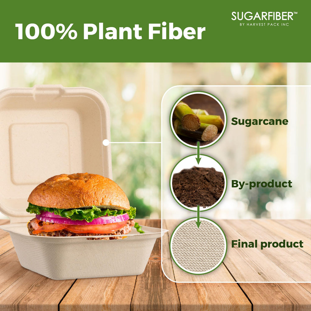 [50 COUNT]Harvest Pack 6 X 6" Compostable Clamshell Take Out Food Containers, PFAS FREE Square To go Containers with Lids, Heavy-Duty Disposable Bagasse Bento Cake Box, Eco-Friendly Sugarcane Fibers