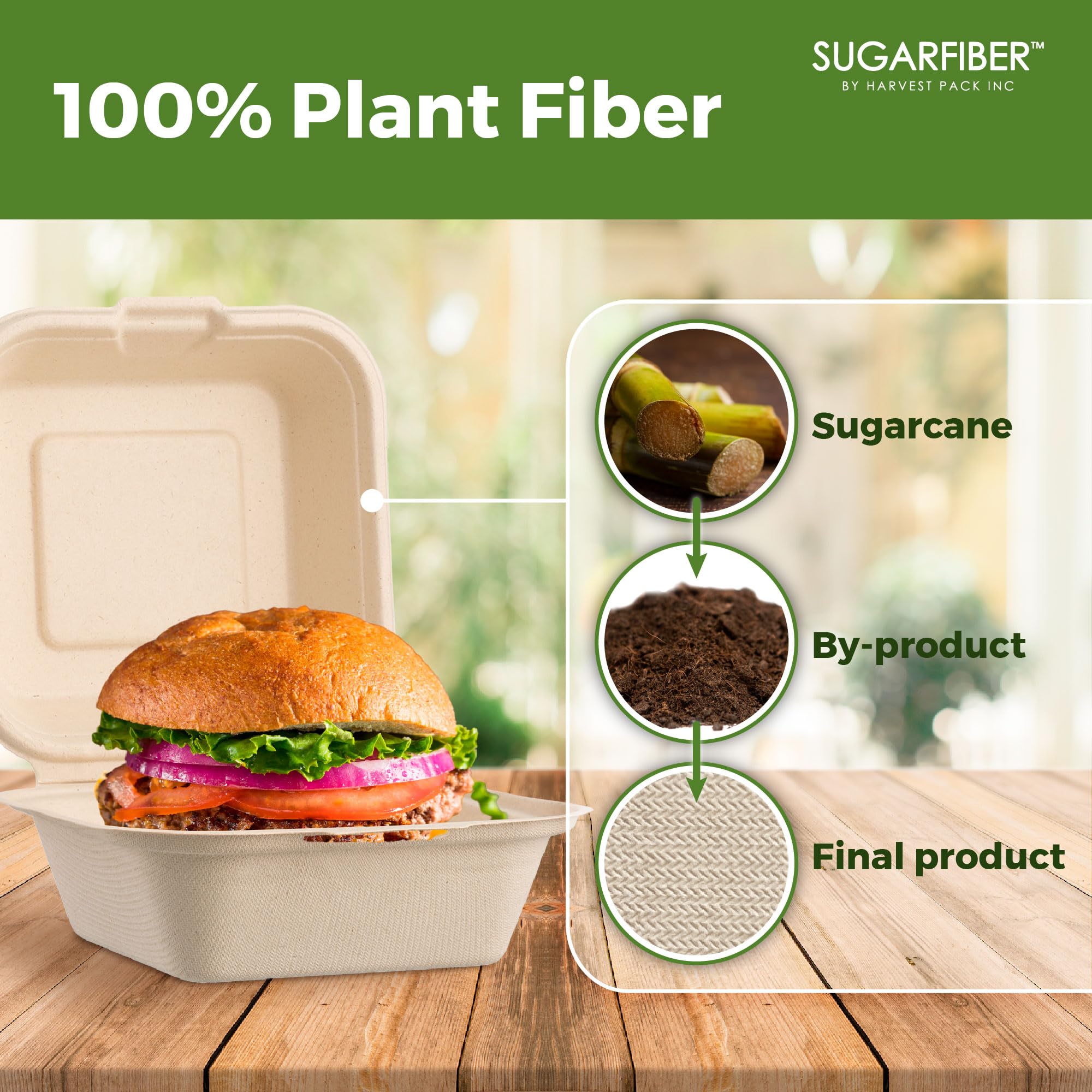 [50 COUNT]Harvest Pack 6 X 6" Compostable Clamshell Take Out Food Containers, PFAS FREE Square To go Containers with Lids, Heavy-Duty Disposable Bagasse Bento Cake Box, Eco-Friendly Sugarcane Fibers