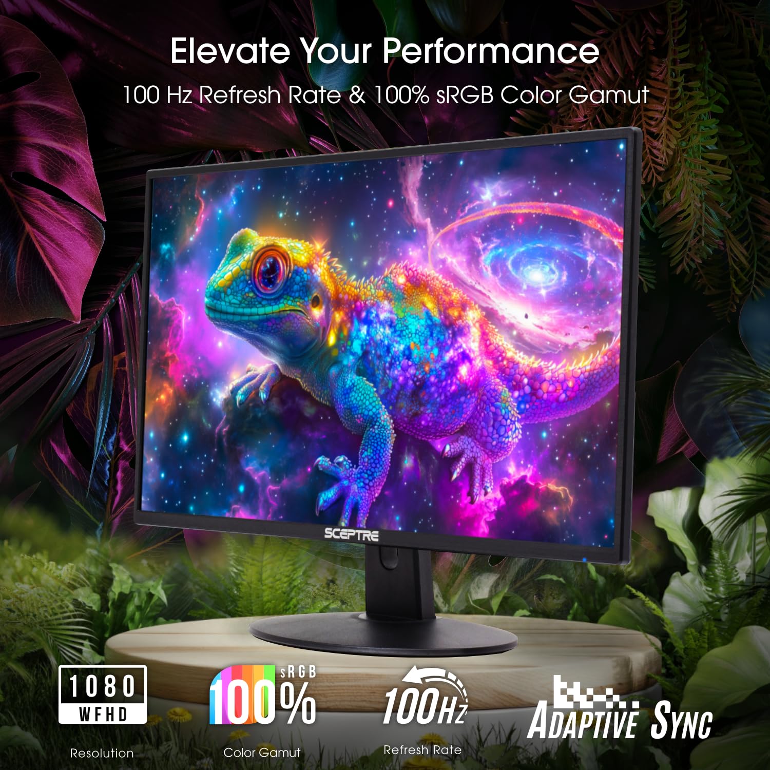 Sceptre 24 Inch 75Hz 1080p LED Monitor with Build-in Speakers HDMI VGA Ports, New Black 2019 (E248W-1920)